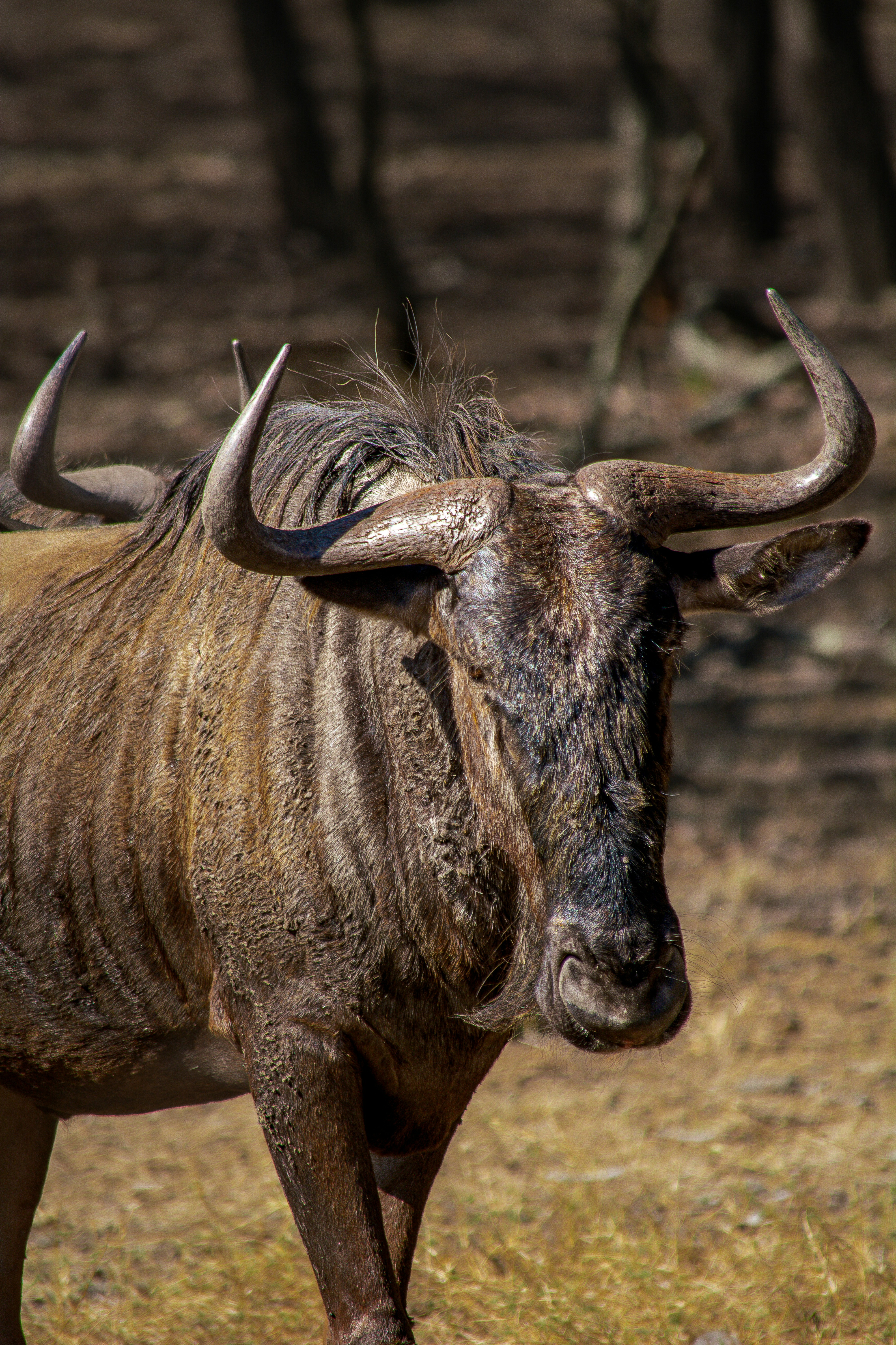 Photo by arptrastogi