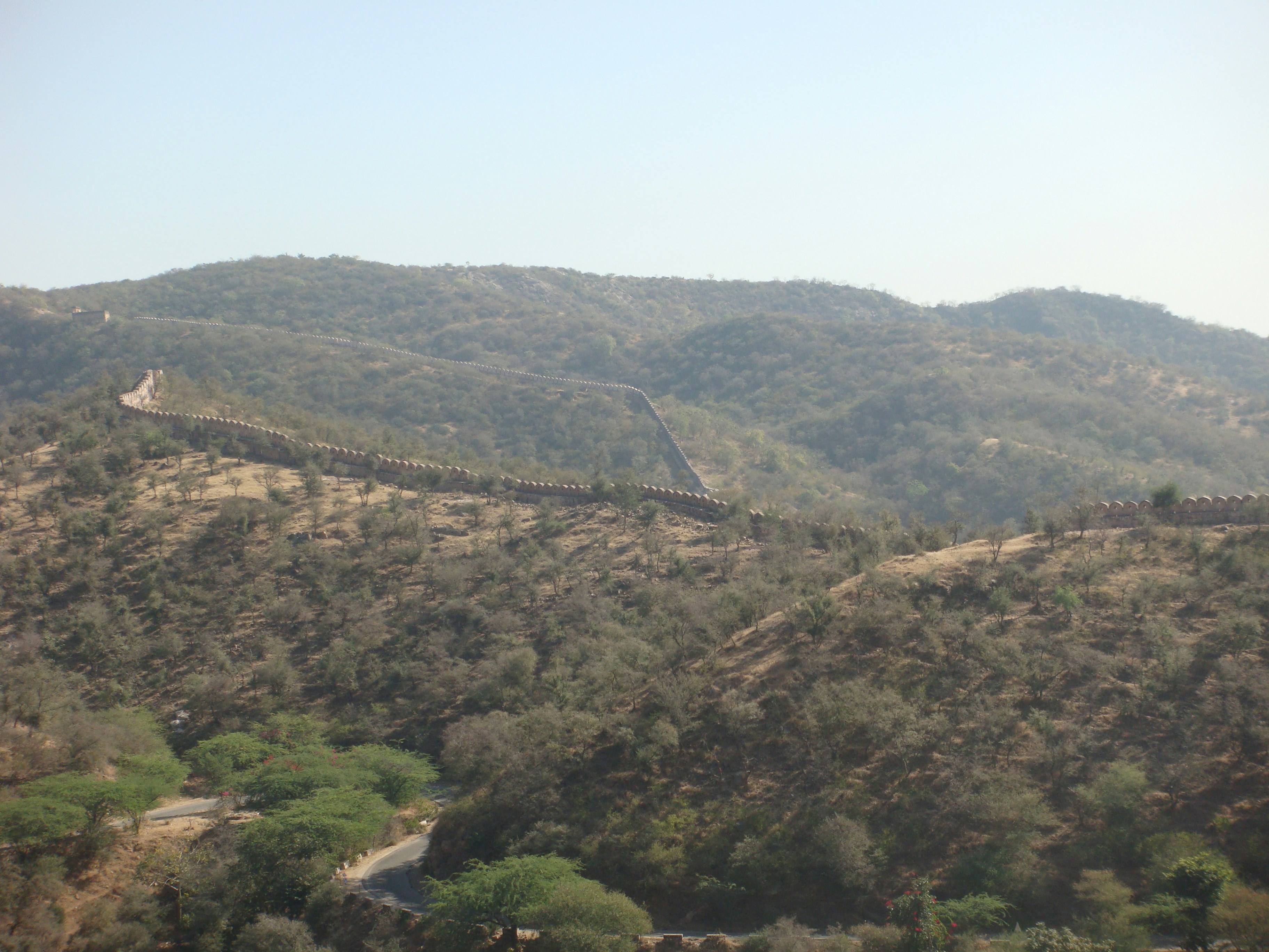 Photo by rishabh2001