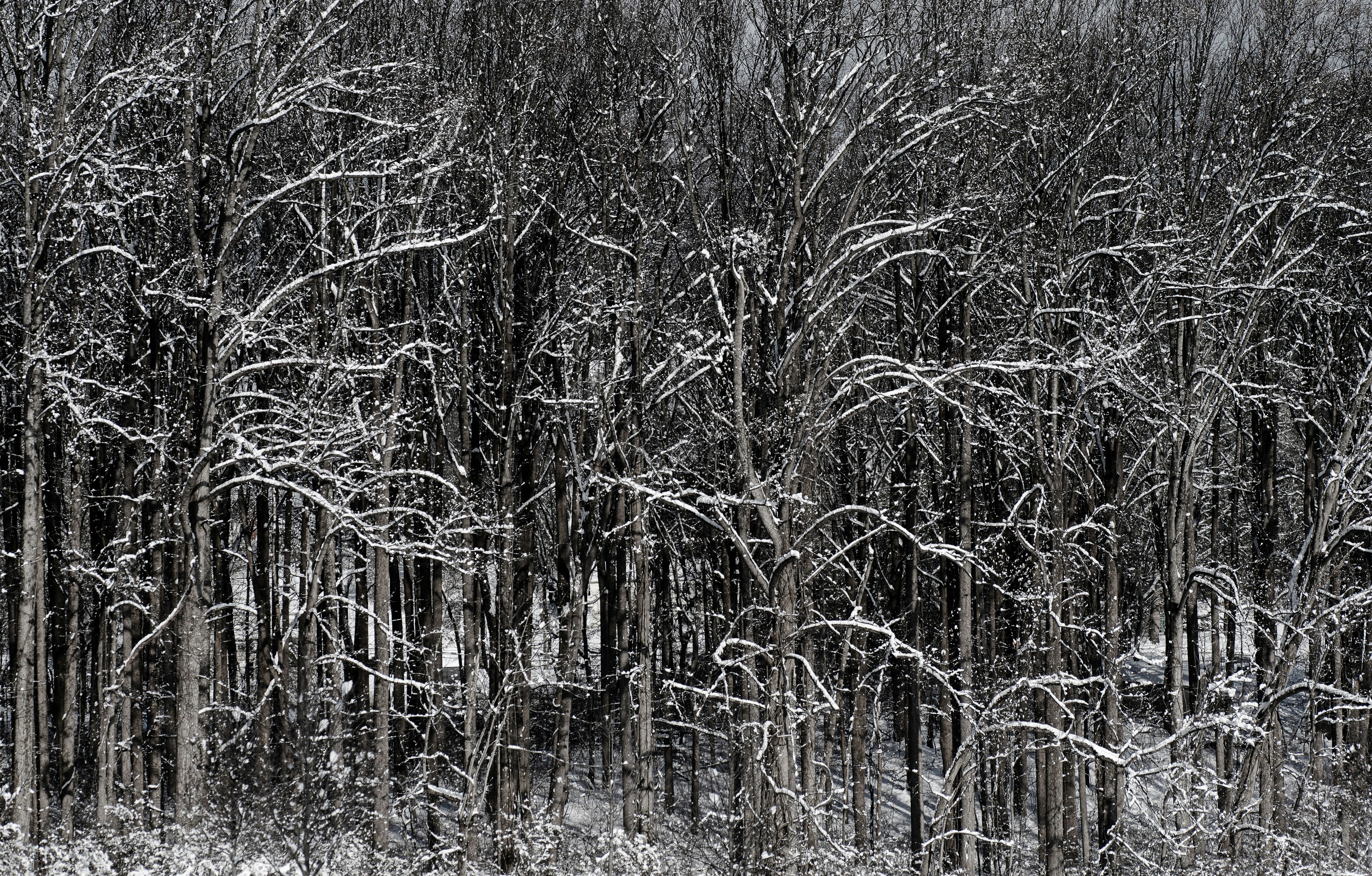 Photo by renatakneedham