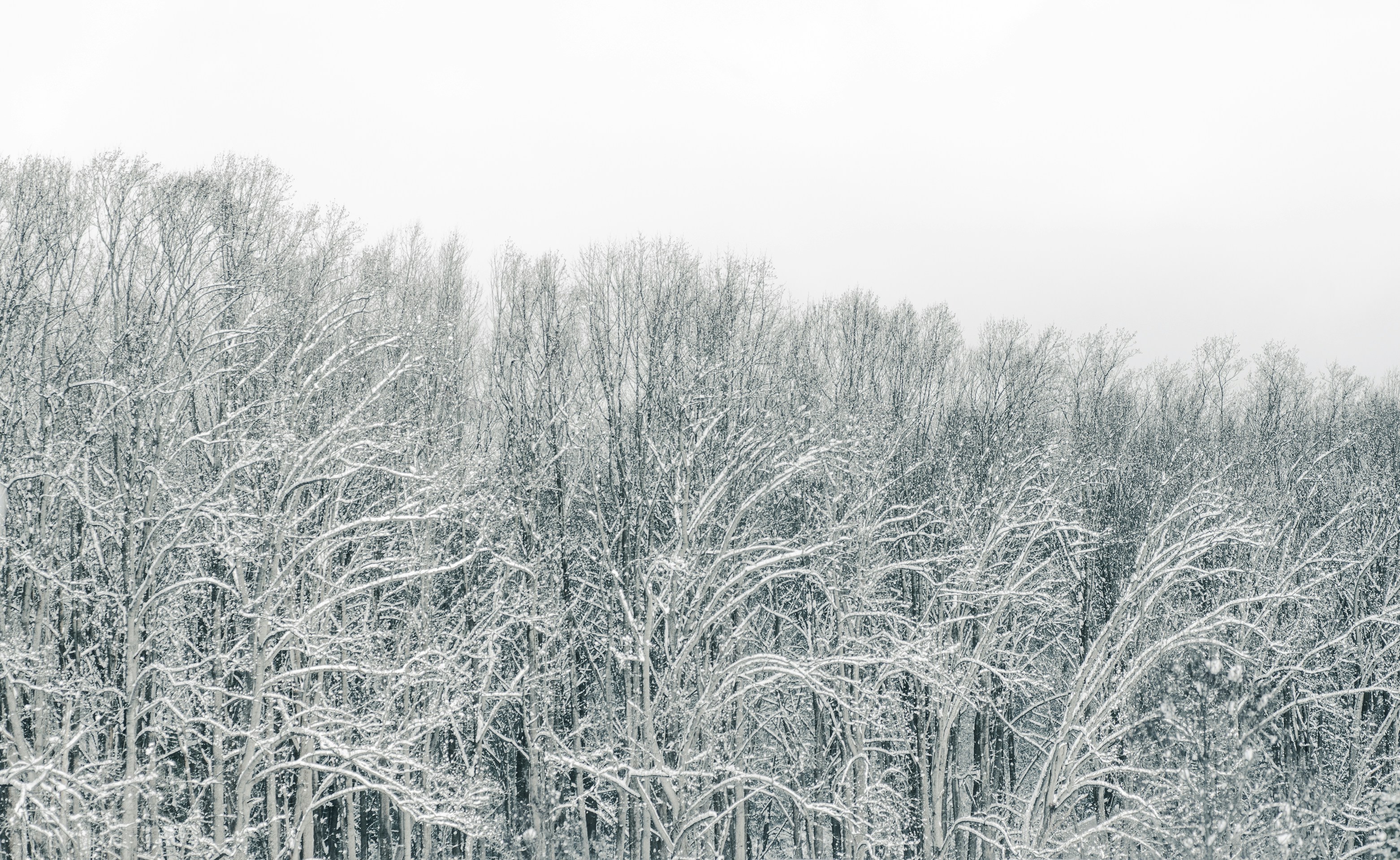 Photo by renatakneedham