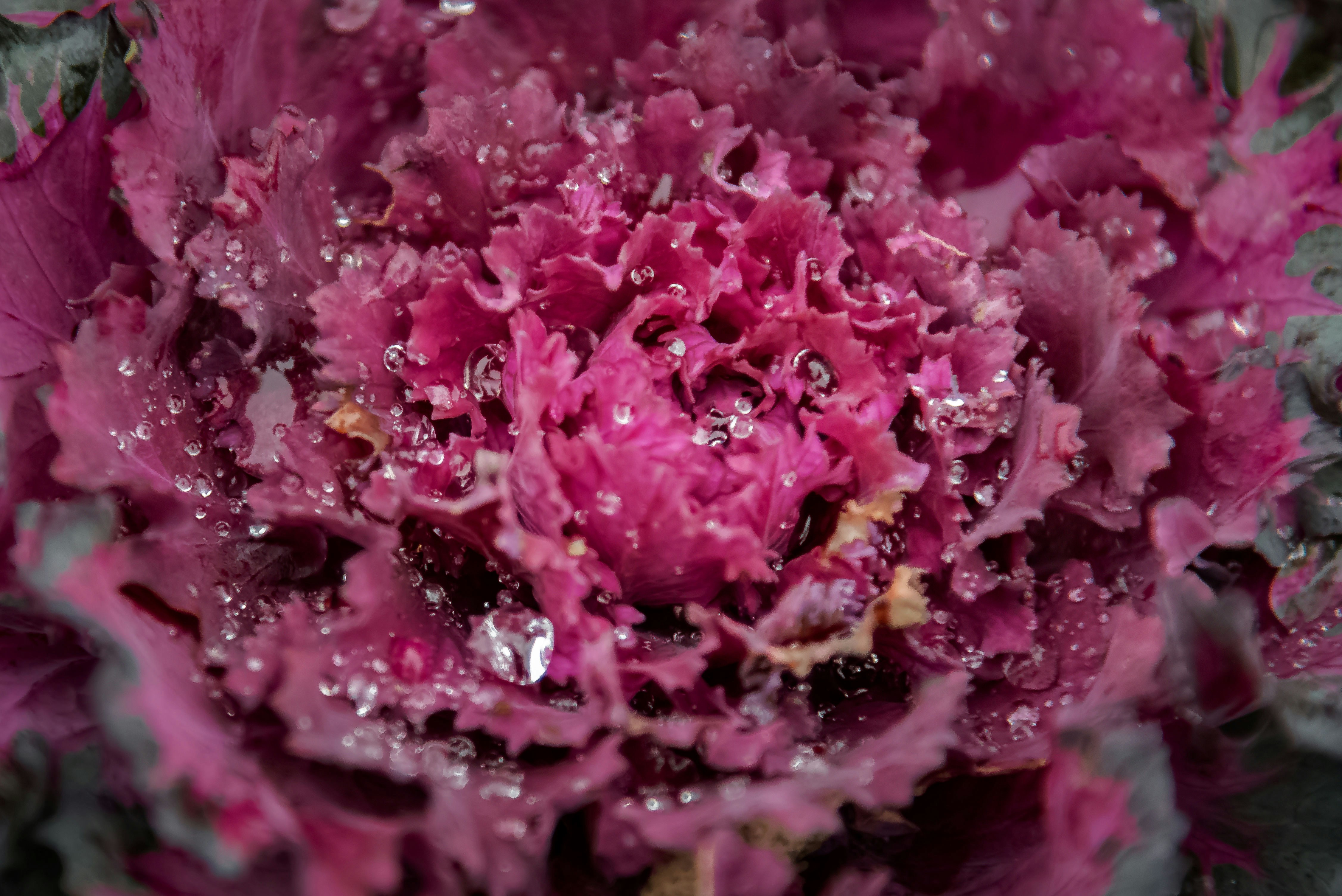 Photo by malwinanogaj