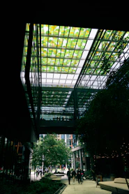 Modern building with a green glass ceiling and trees