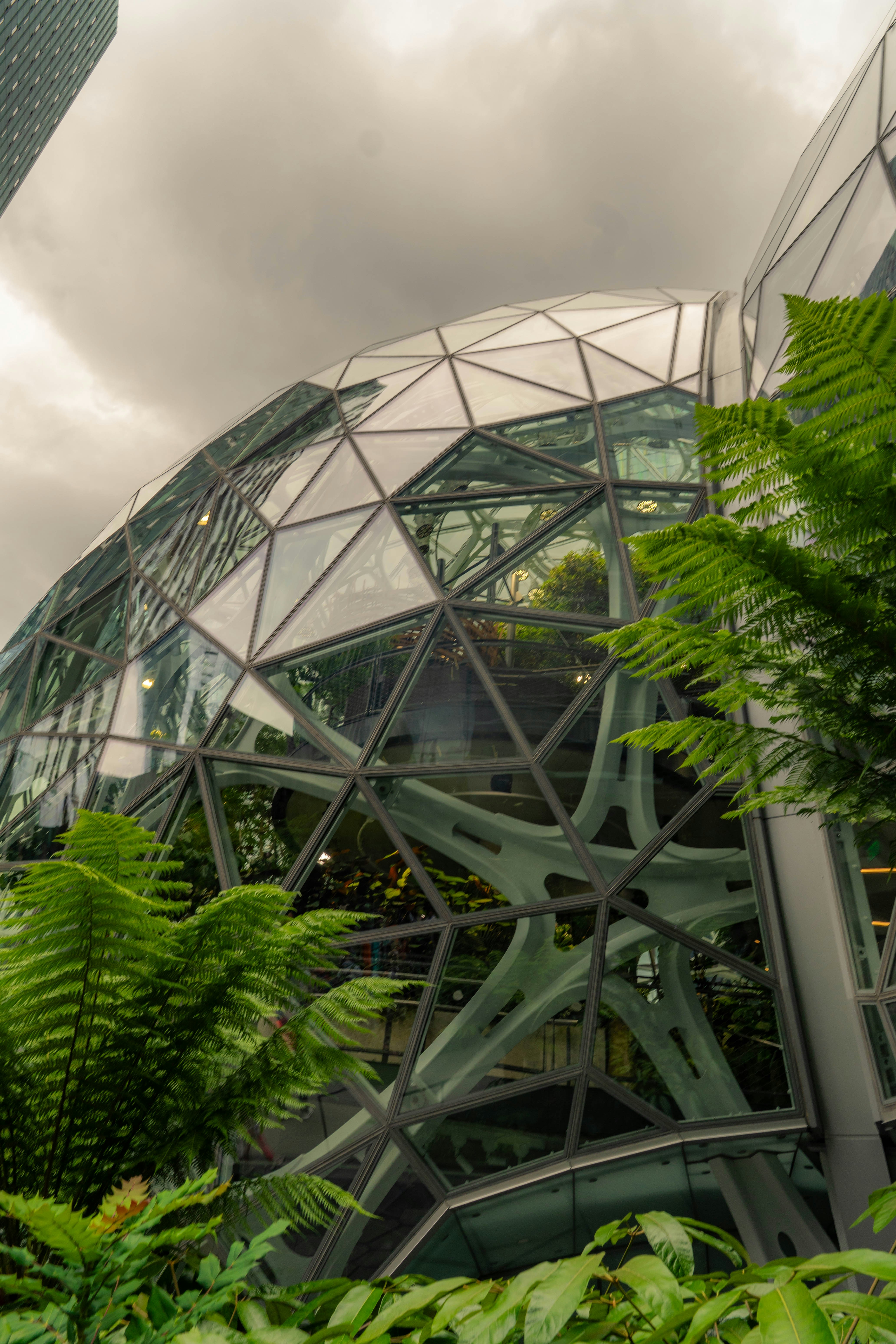 Geodesic dome building with lush green plants