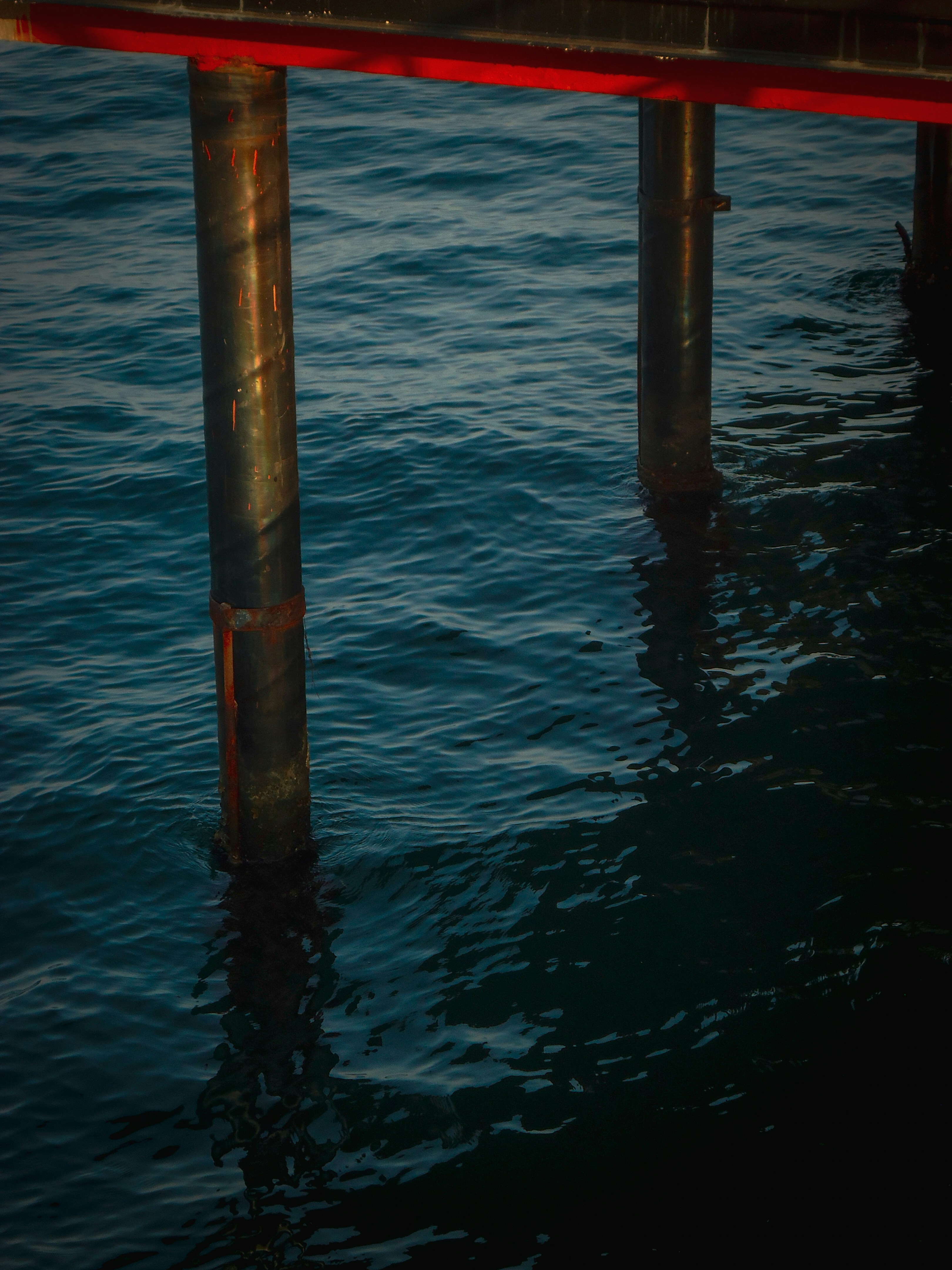 Photo by gurphotogallery