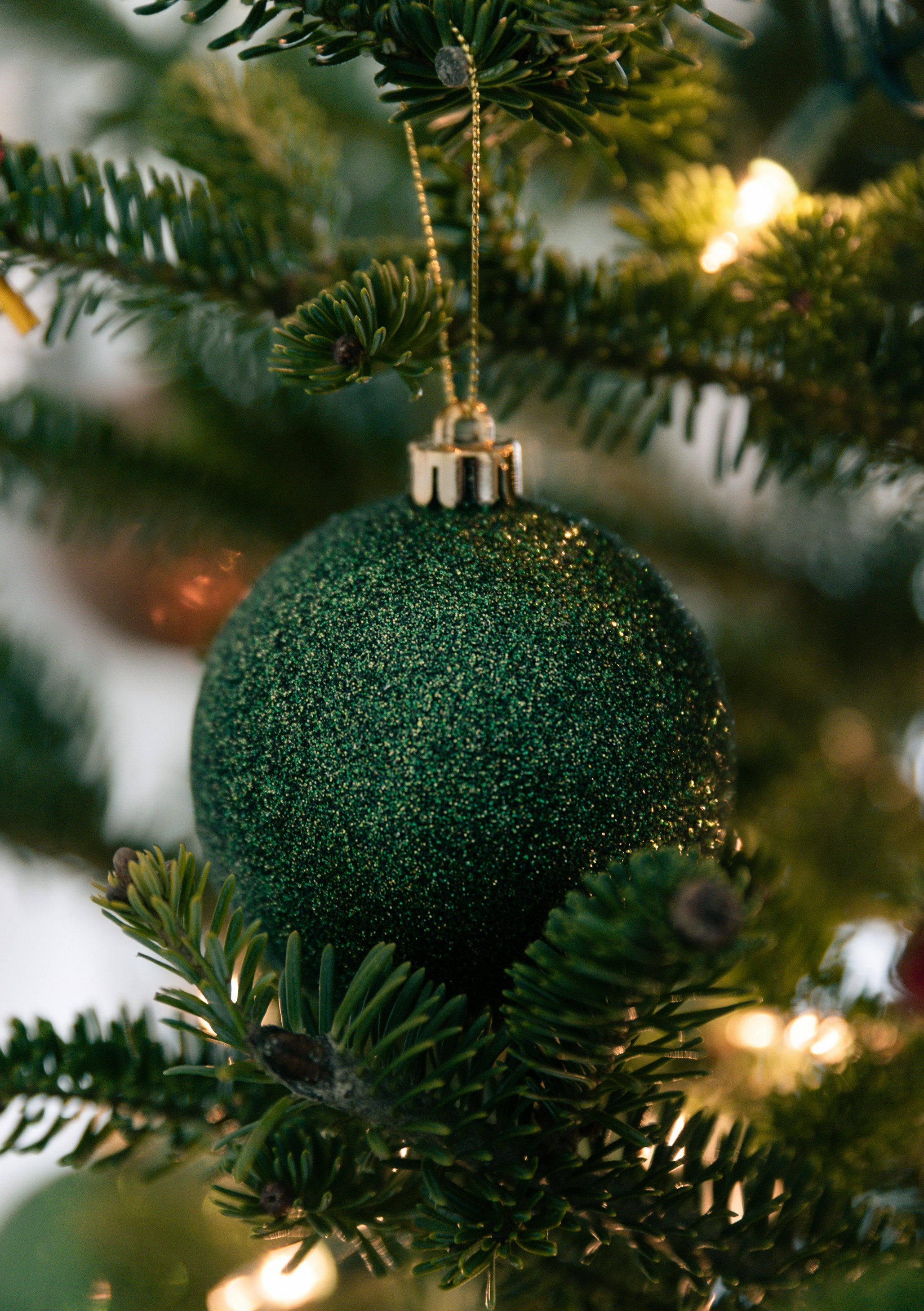 Photo by renatakneedham