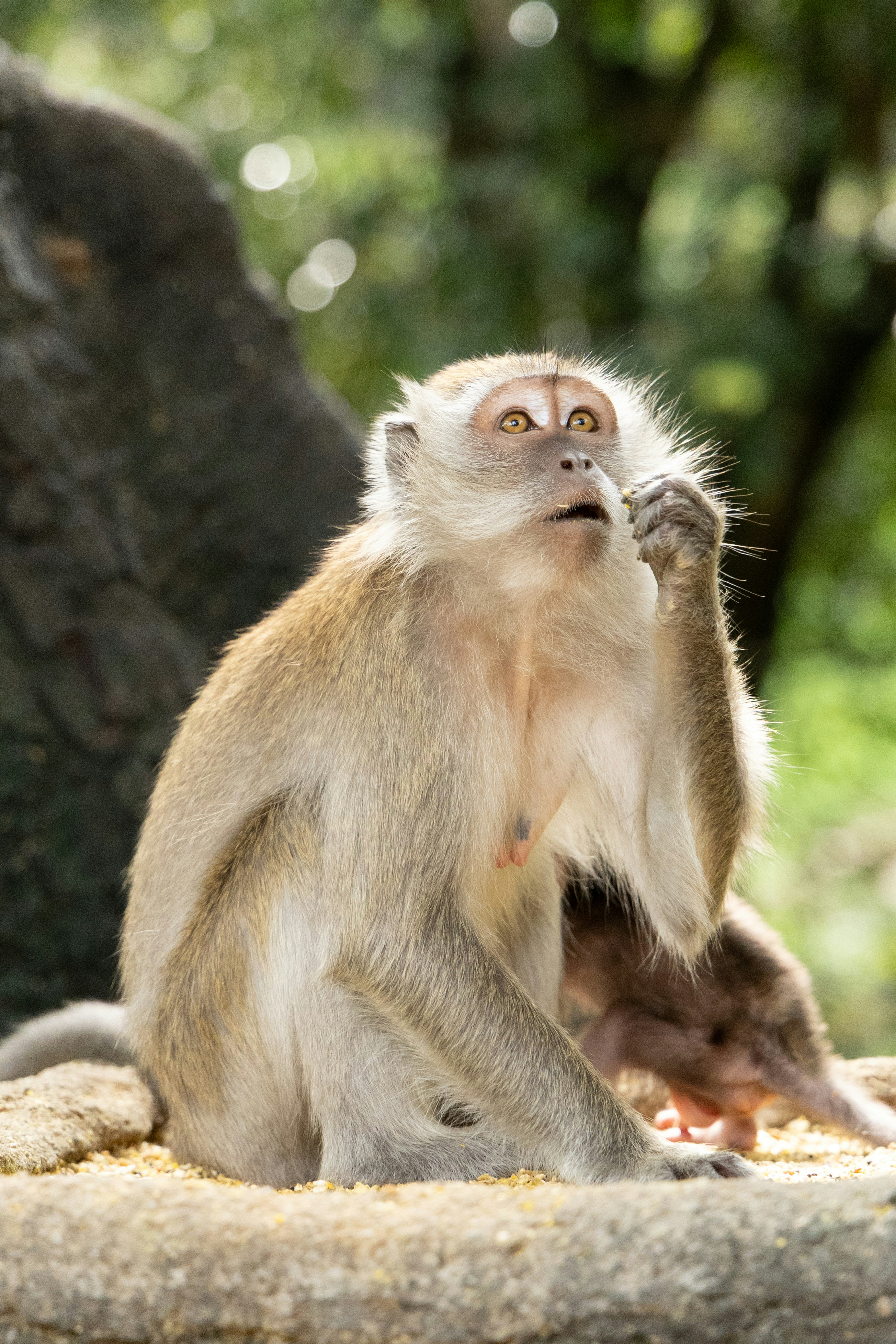 Photo by postrobotbox