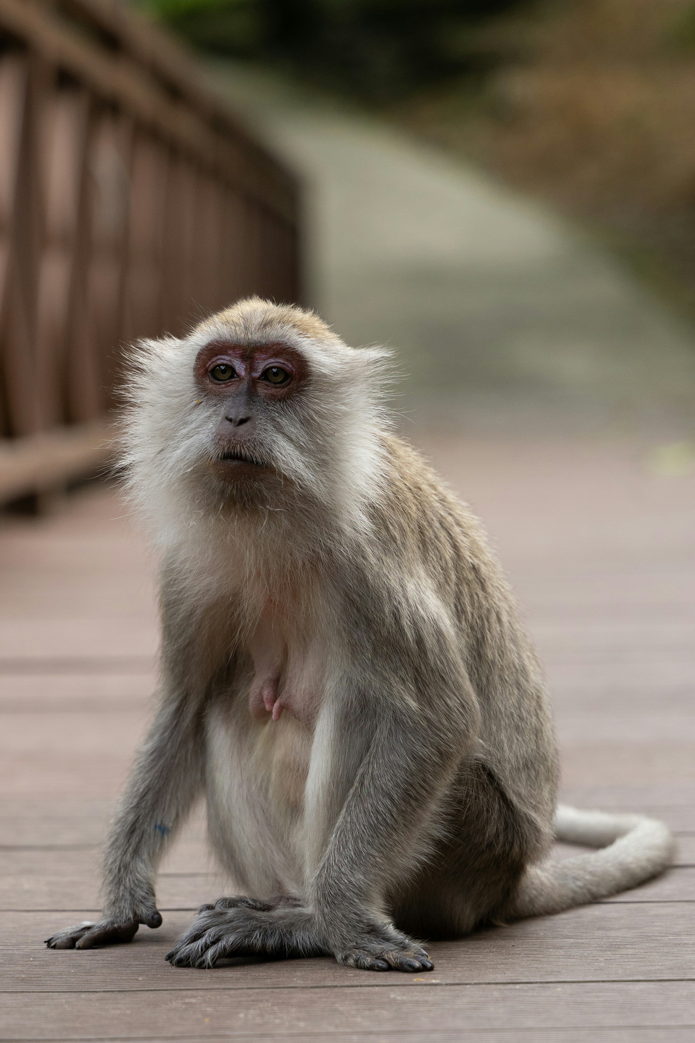 Photo by postrobotbox