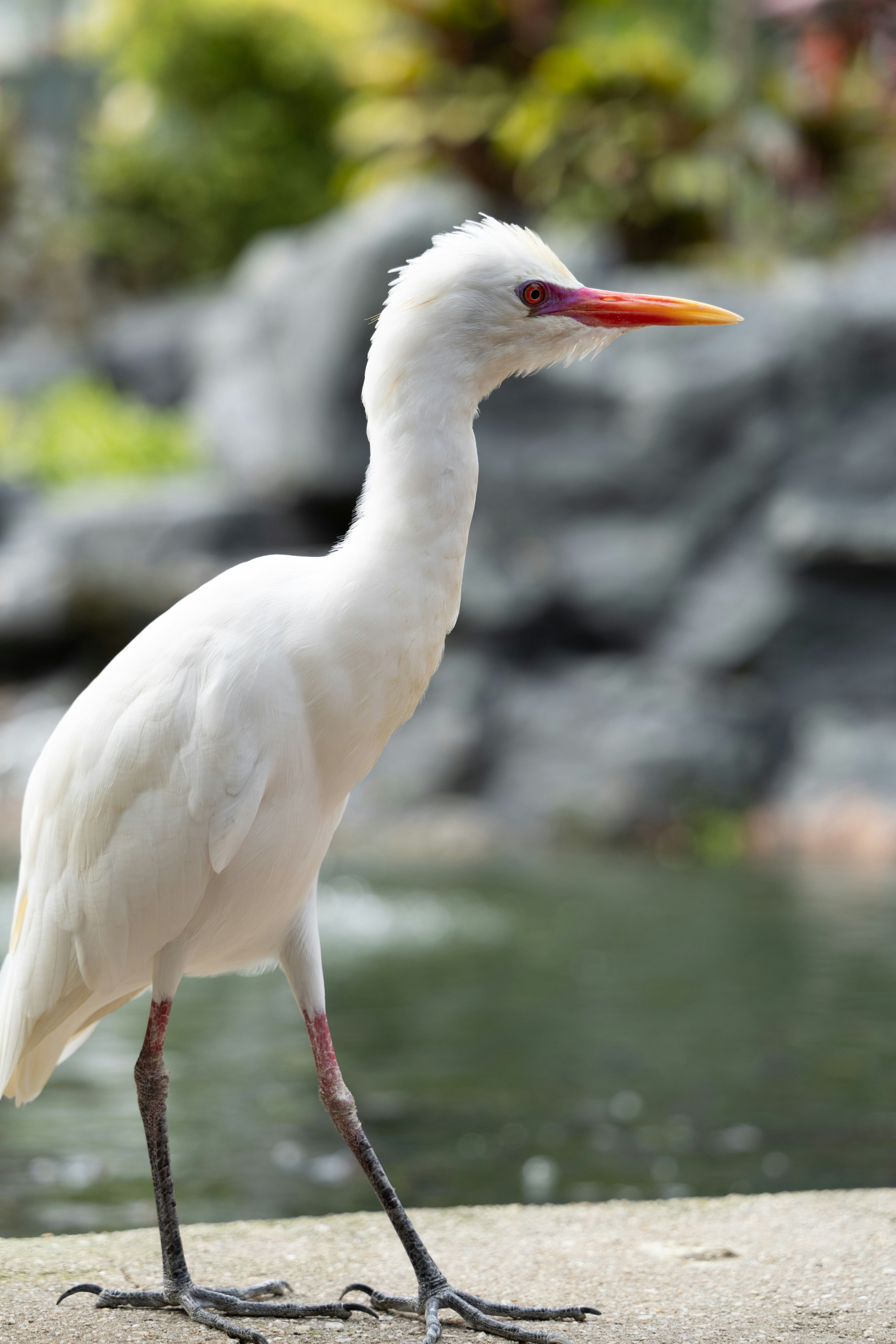 Photo by postrobotbox