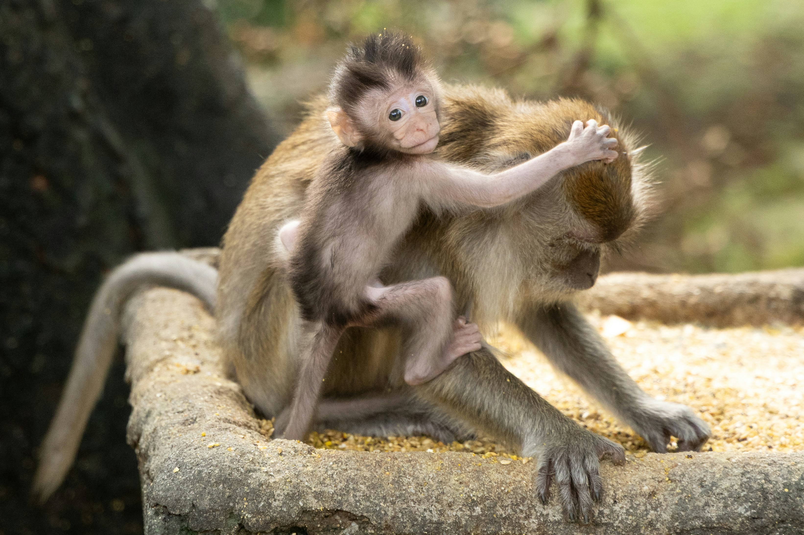 Photo by postrobotbox