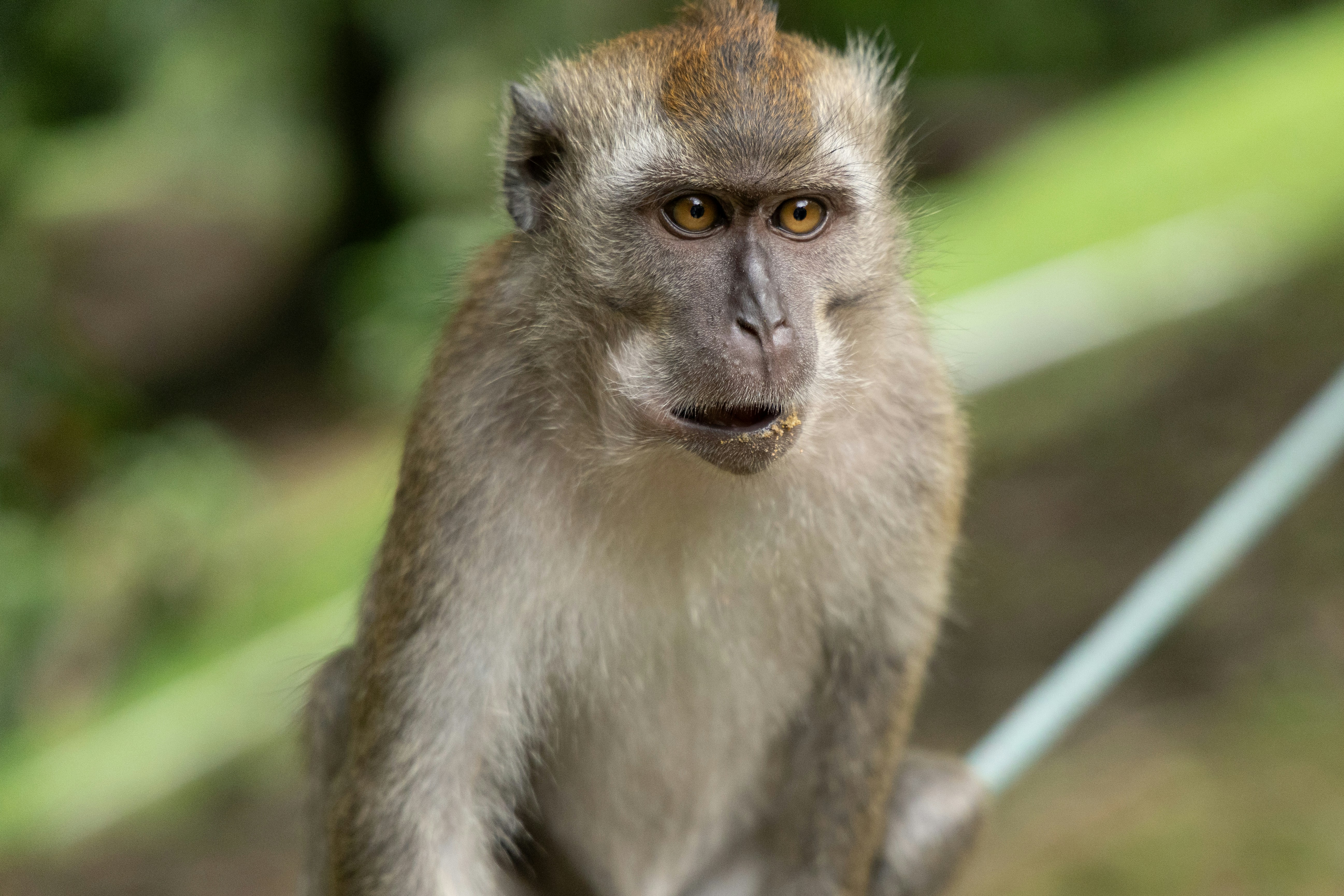 Photo by postrobotbox