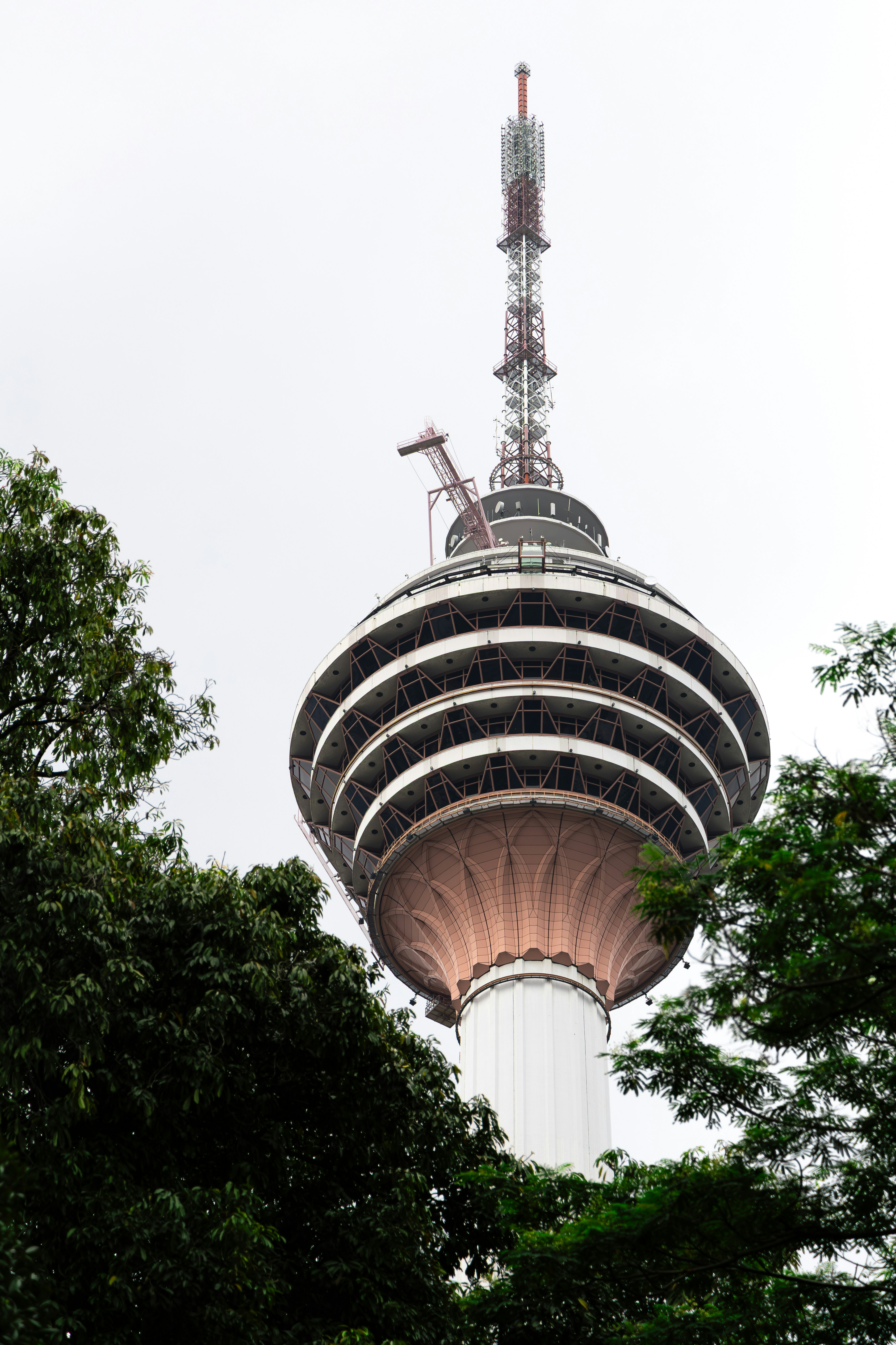Tall broadcast tower surrounded by lush green trees