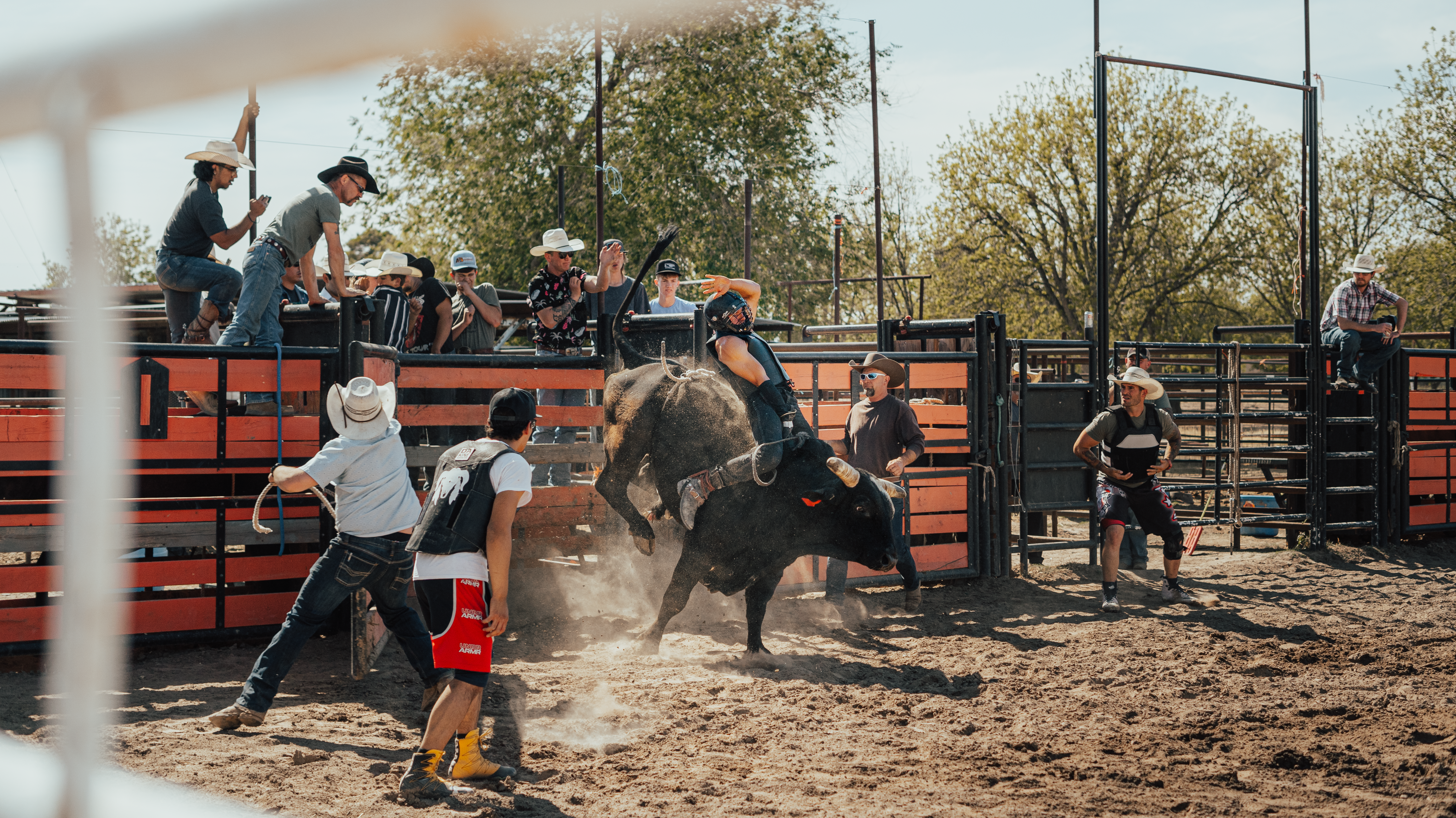 Cavaliere del rodeo su toro che si sferra nell'arena
