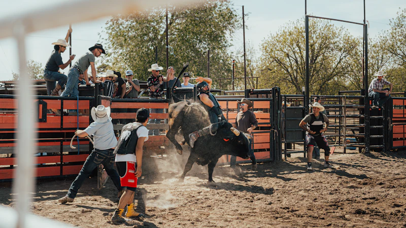 Rodeo rider on bucking bull in arena