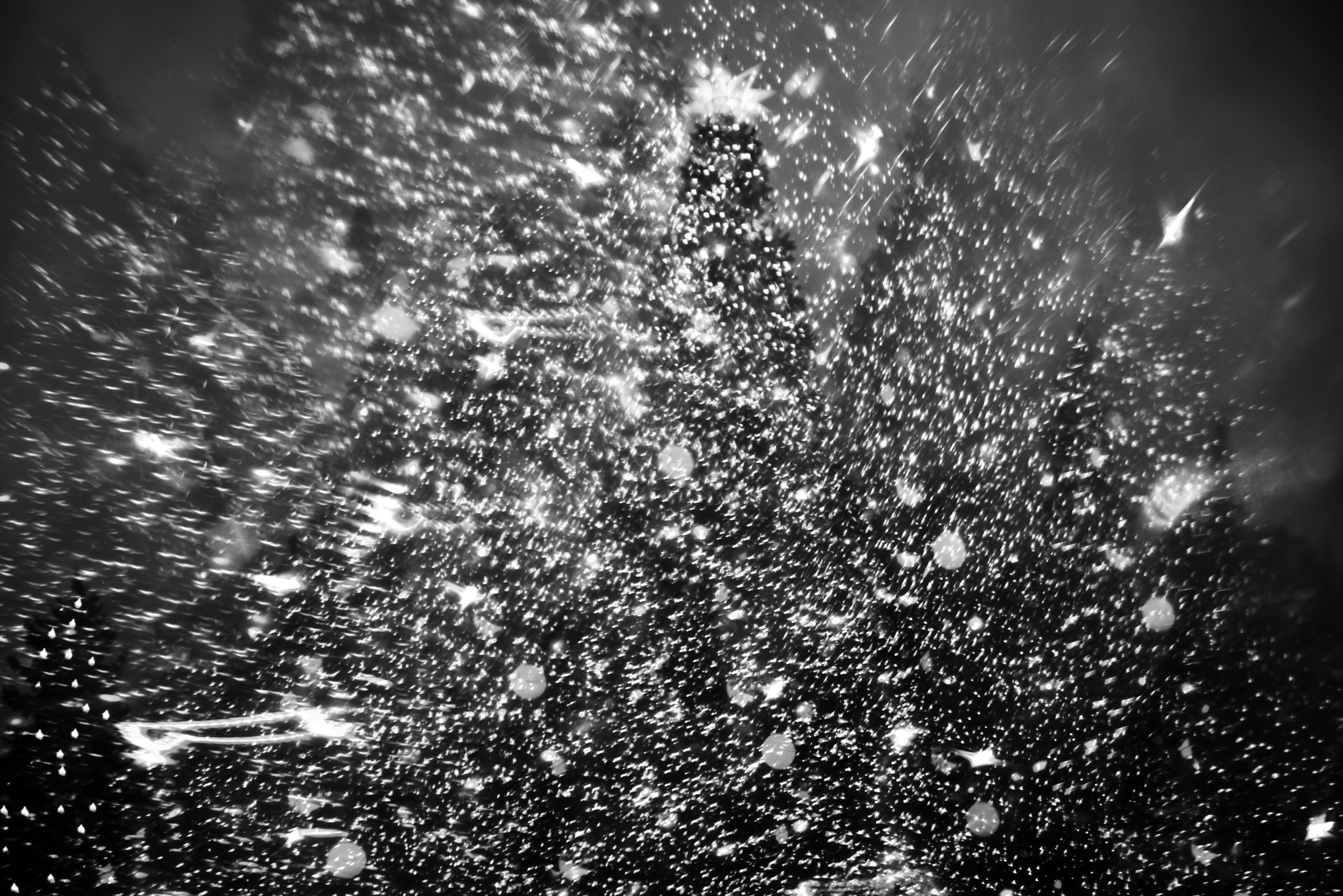 Photo by cherstve_pechivo