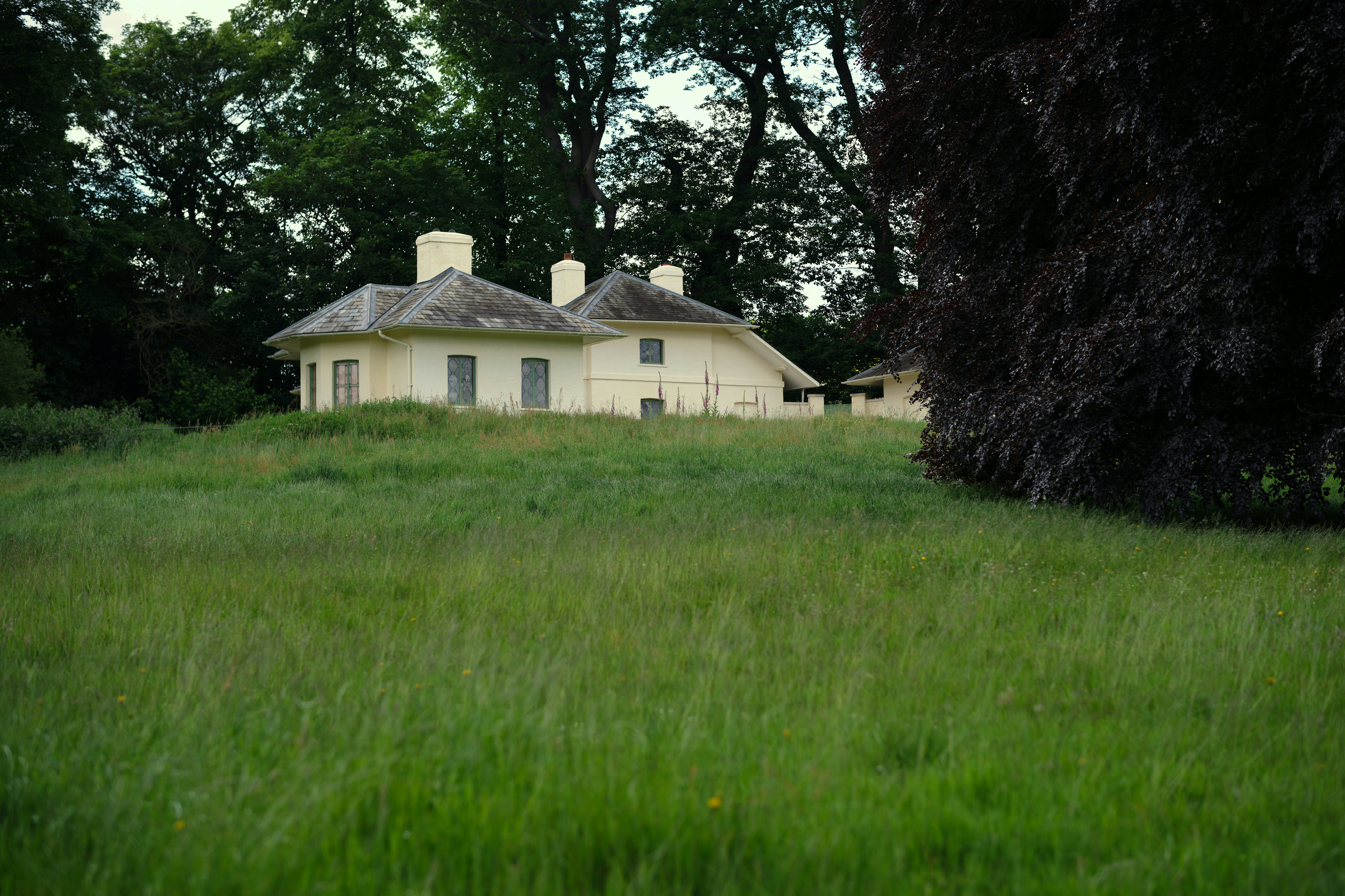 Photo by romanakash27