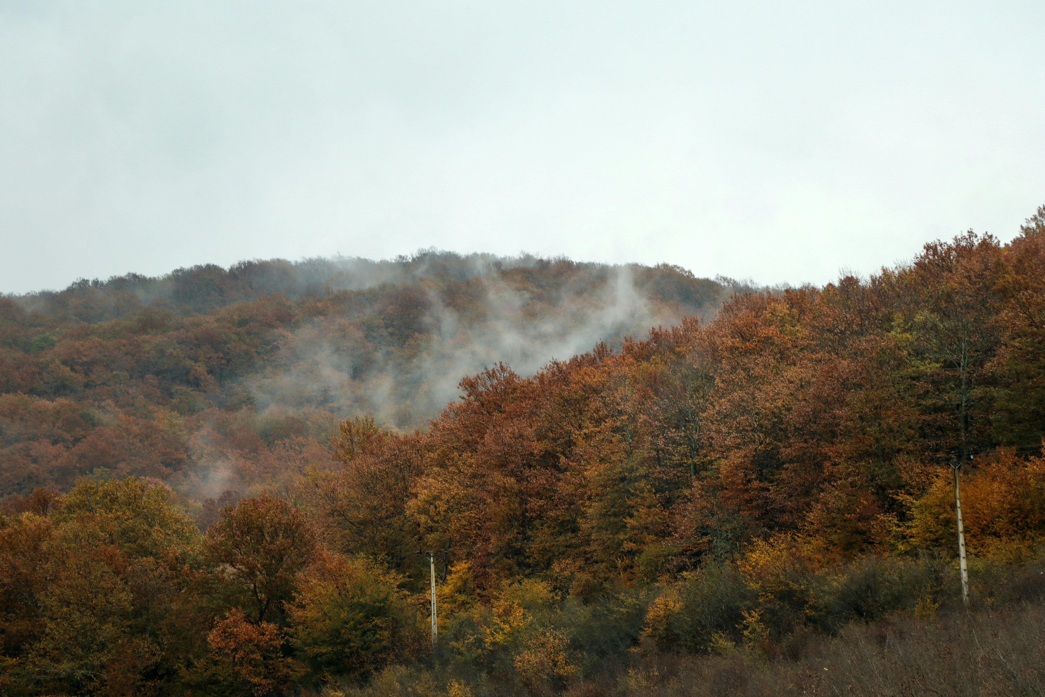 Misty autumn forest with colorful trees on hills.
