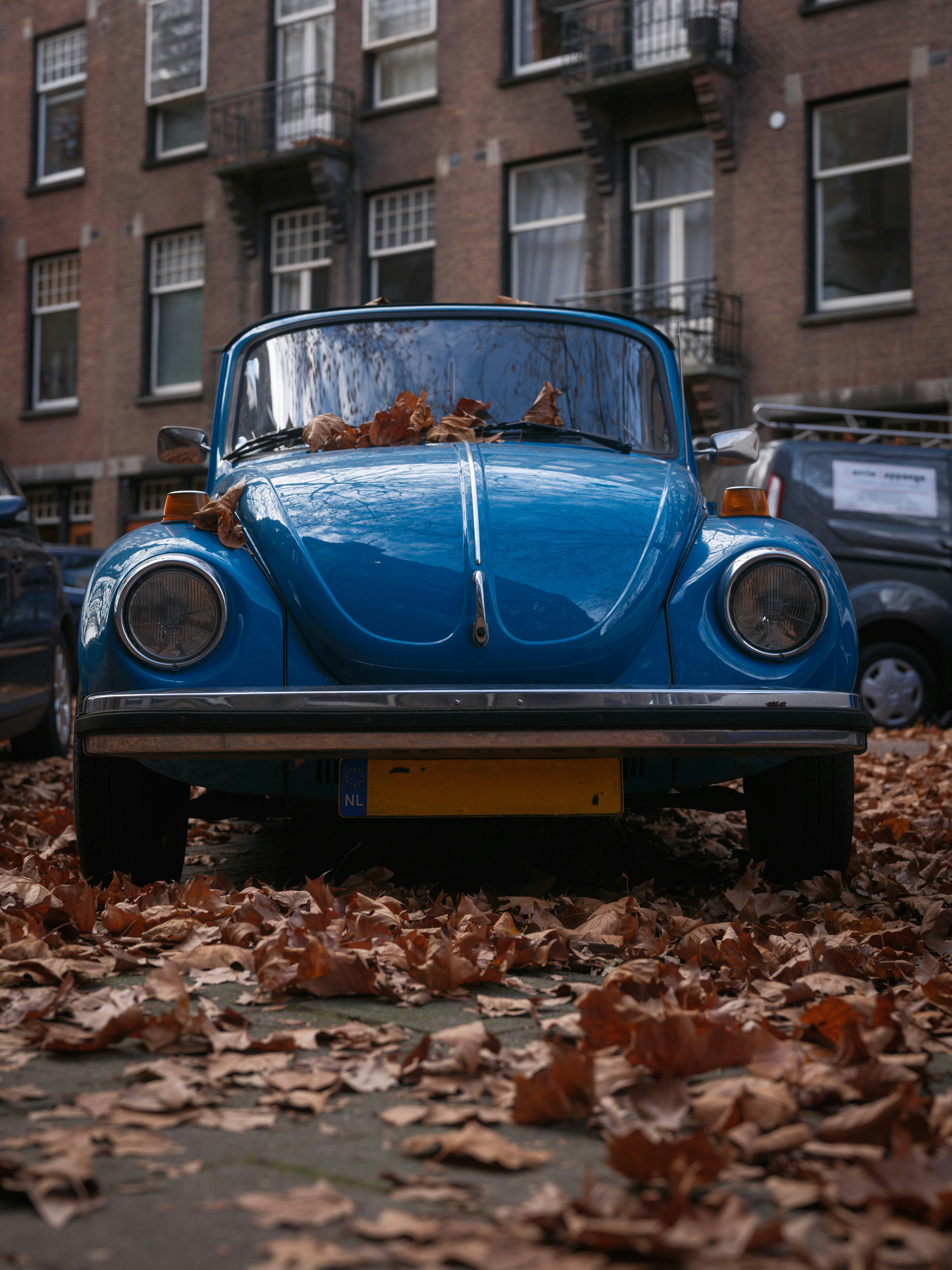 Photo by haberdoedas