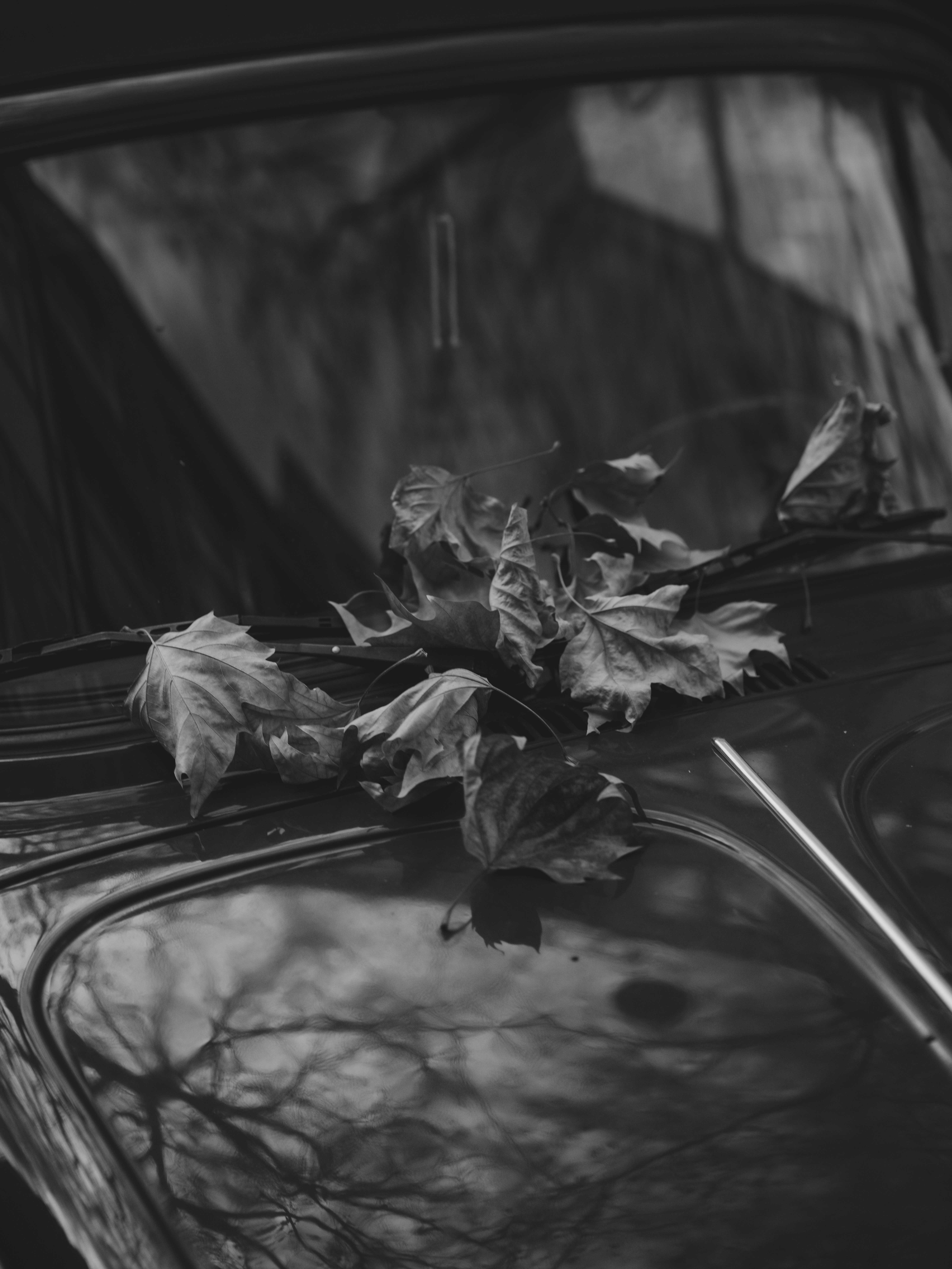 Photo by haberdoedas