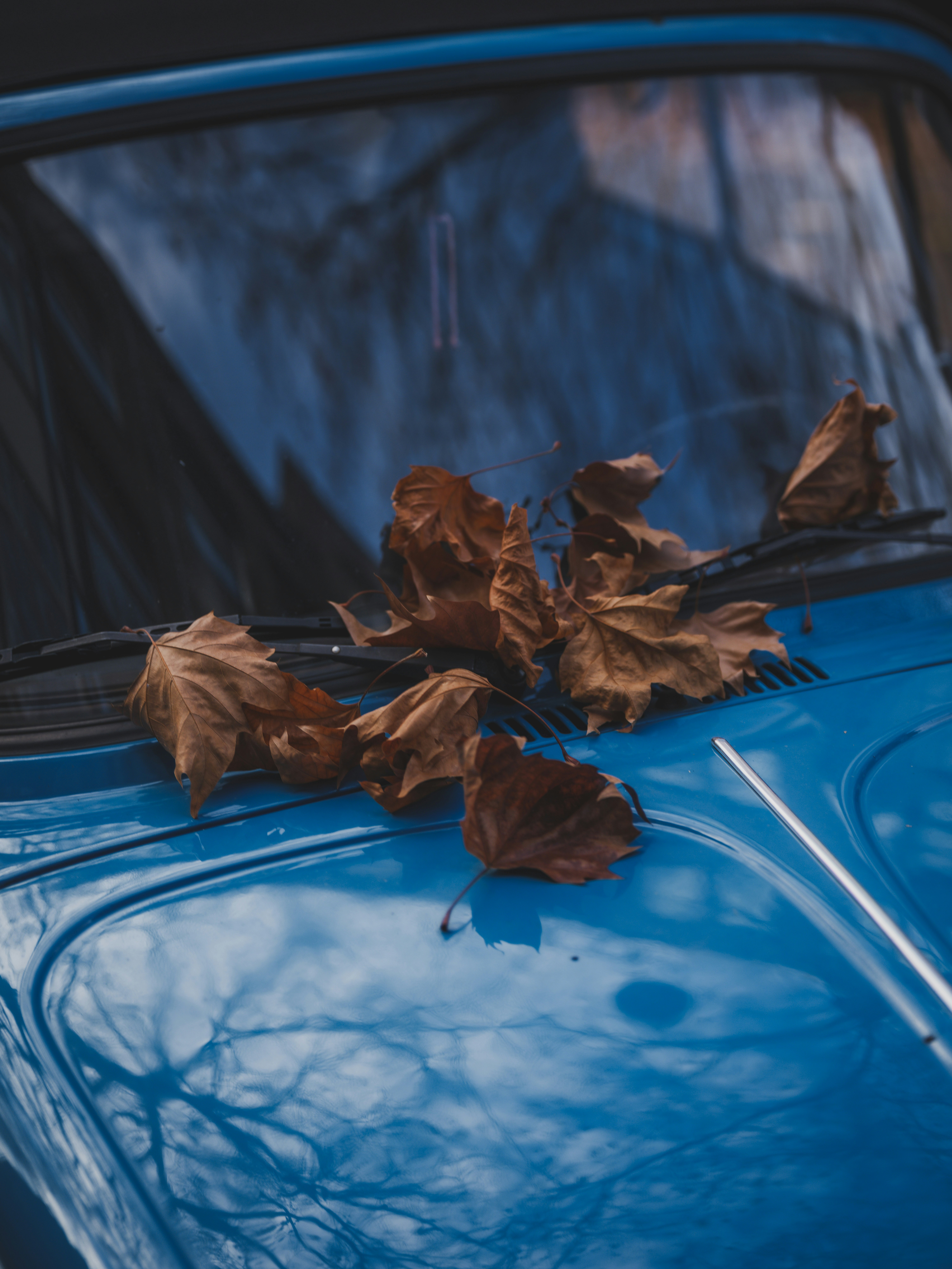 Photo by haberdoedas