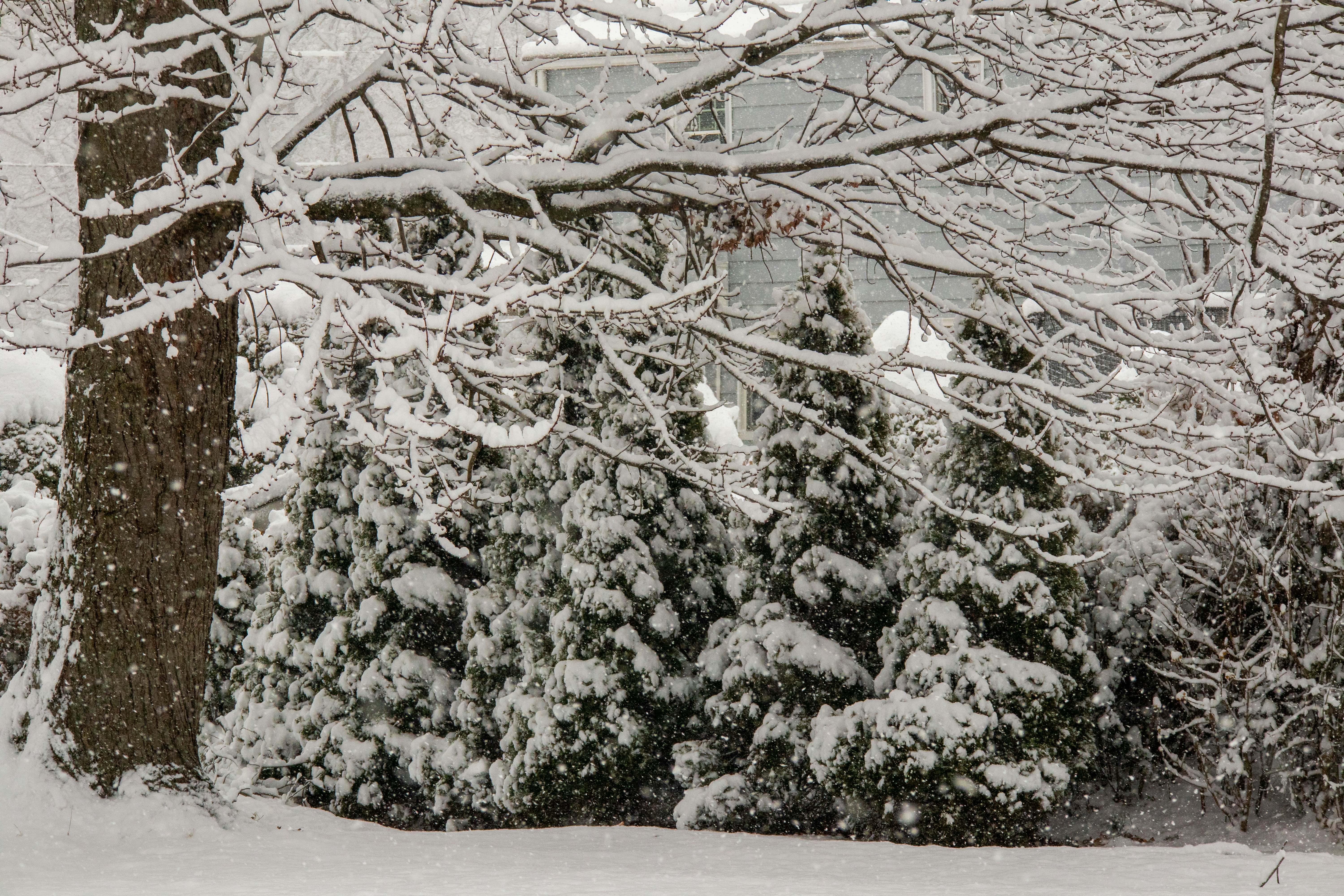 Photo by ucwhphotography