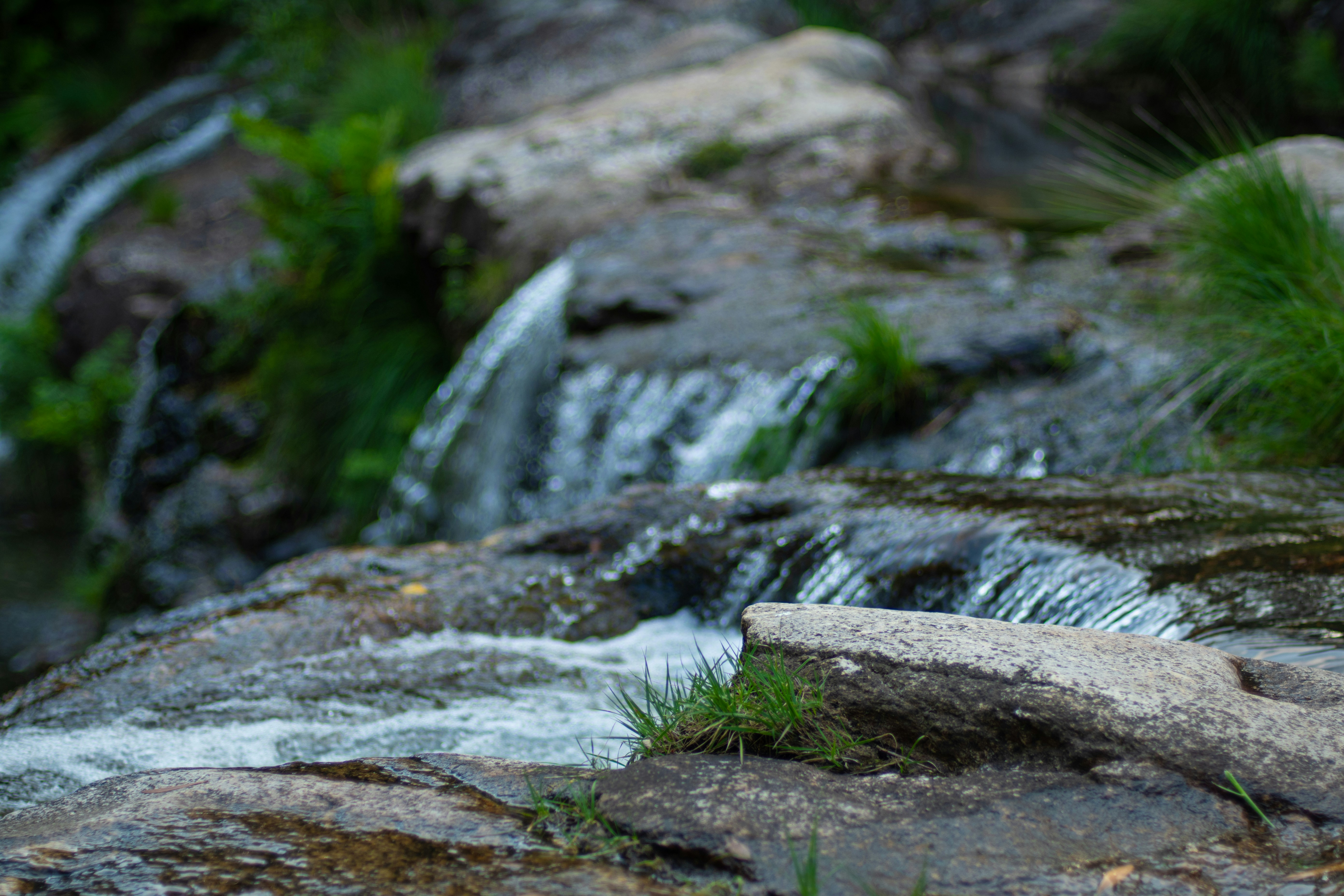 Photo by nataliaraylenegusakova