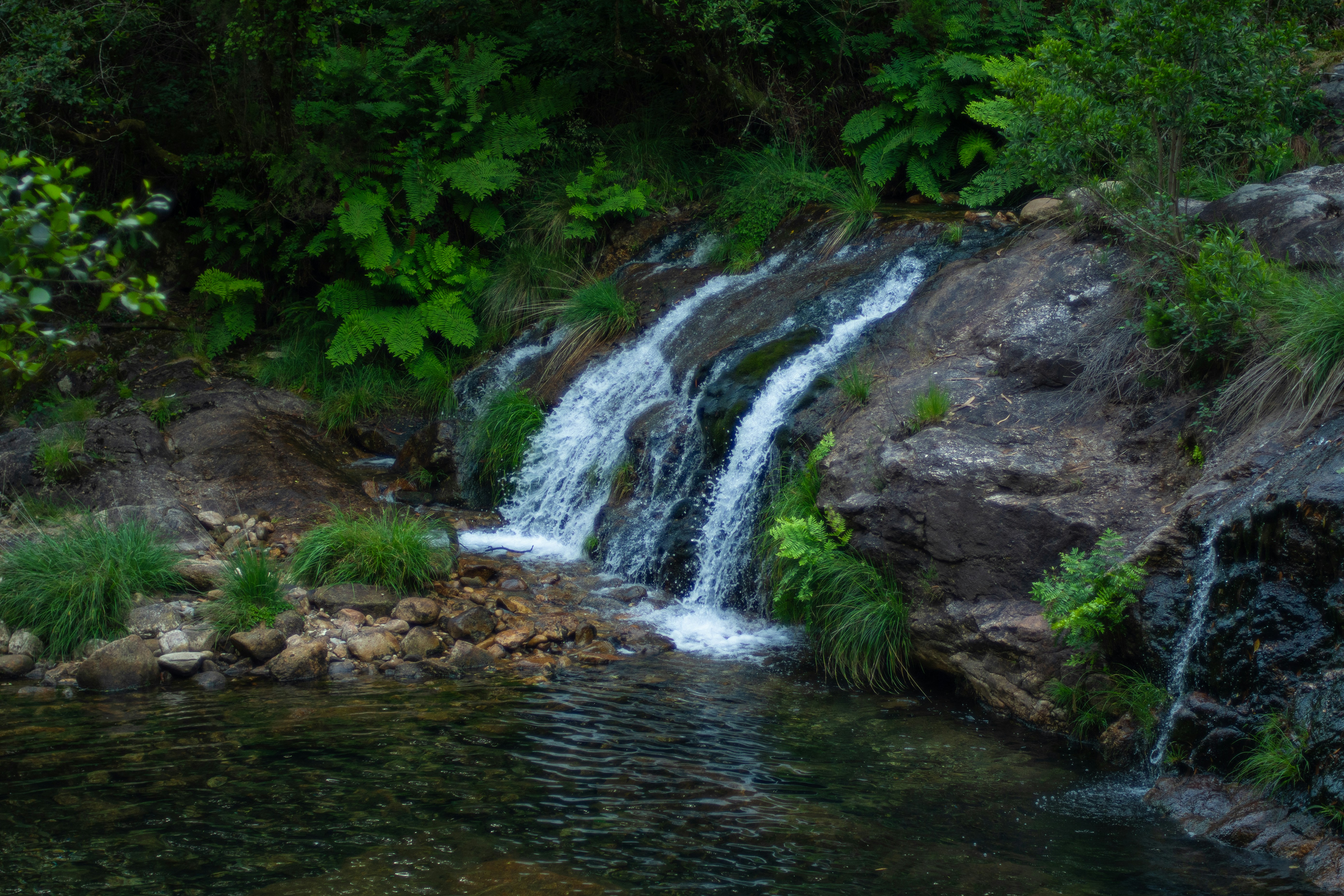 Photo by nataliaraylenegusakova