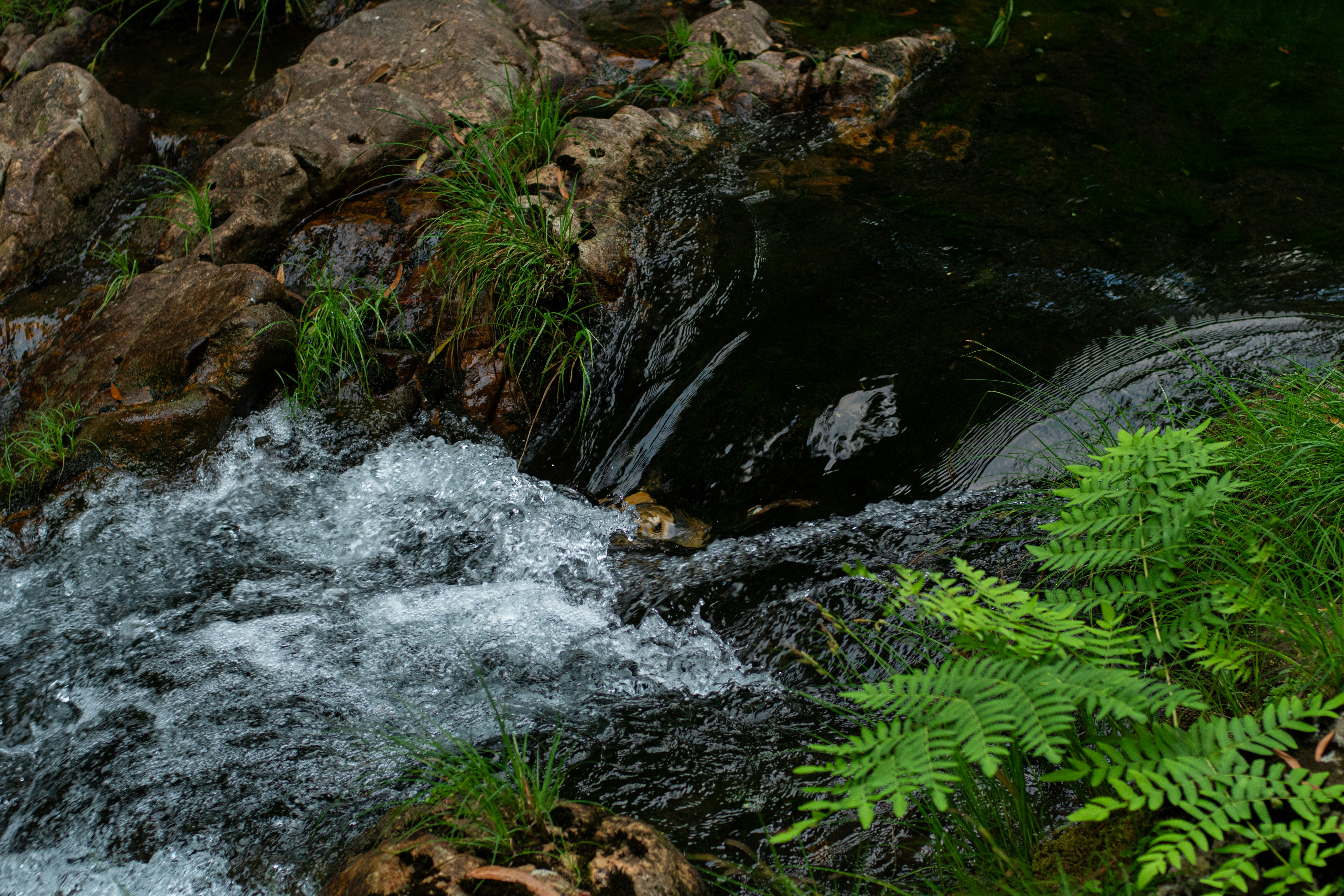 Photo by nataliaraylenegusakova