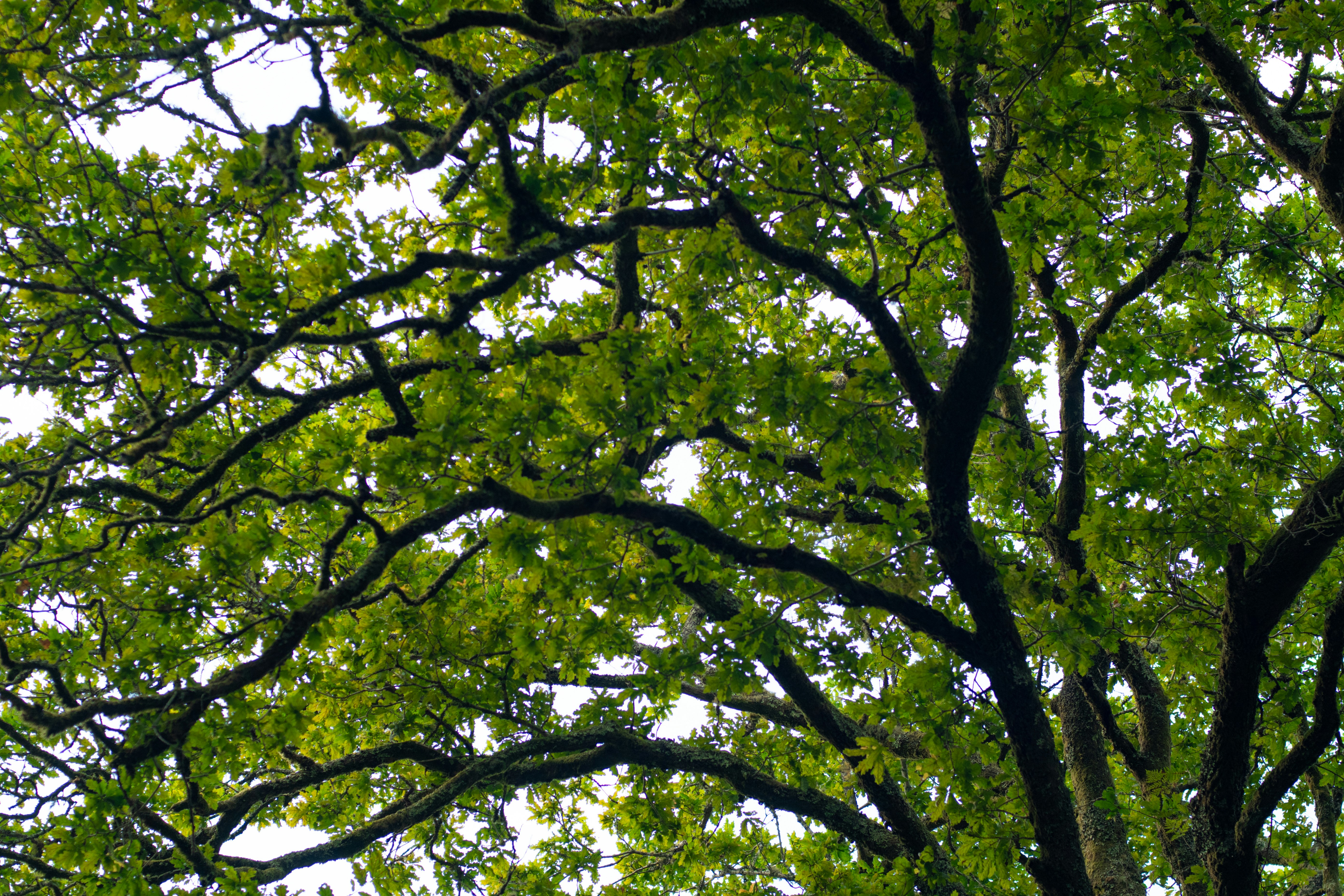 Photo by nataliaraylenegusakova