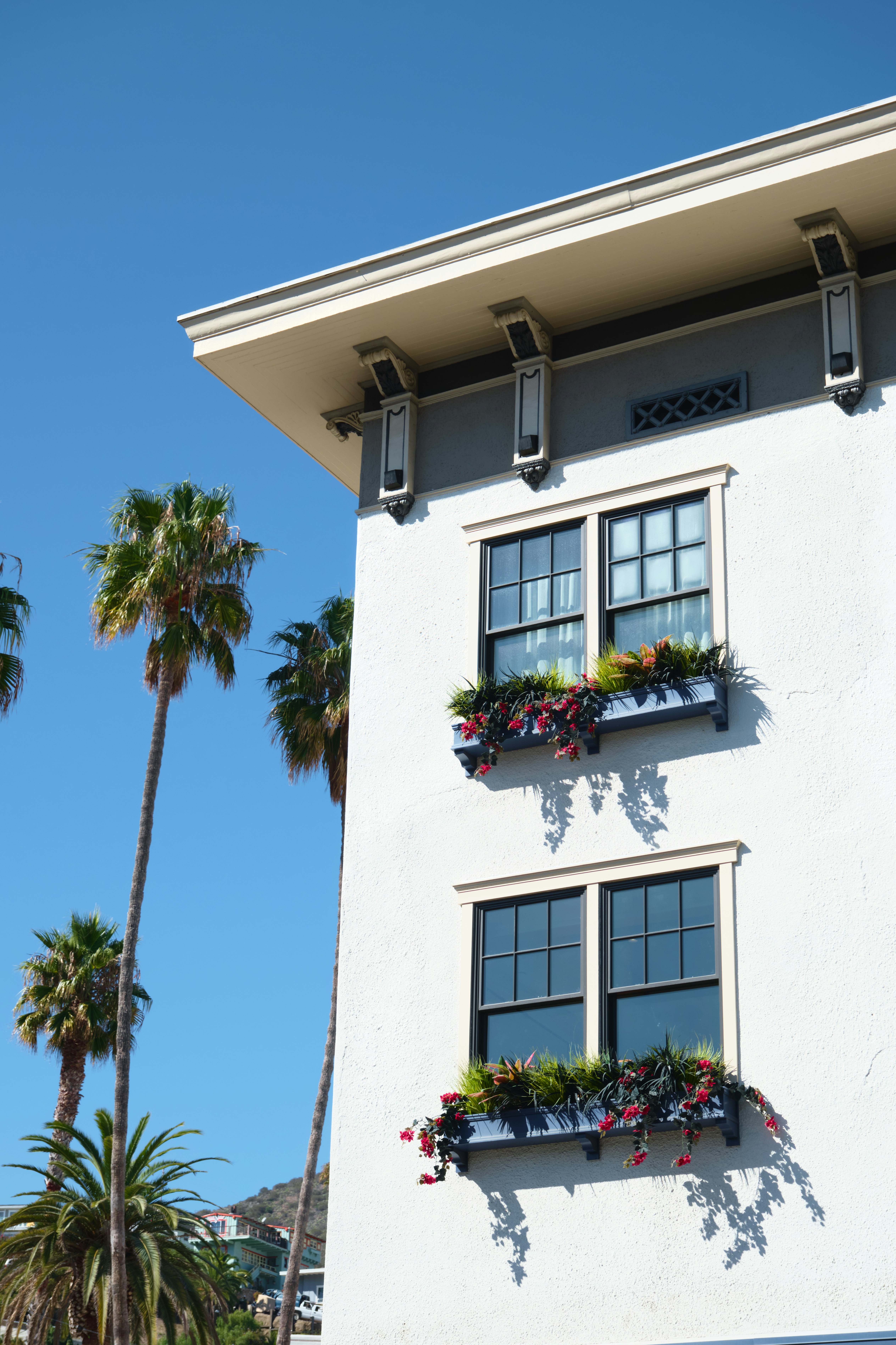 Edificio bianco con cassette e palme.