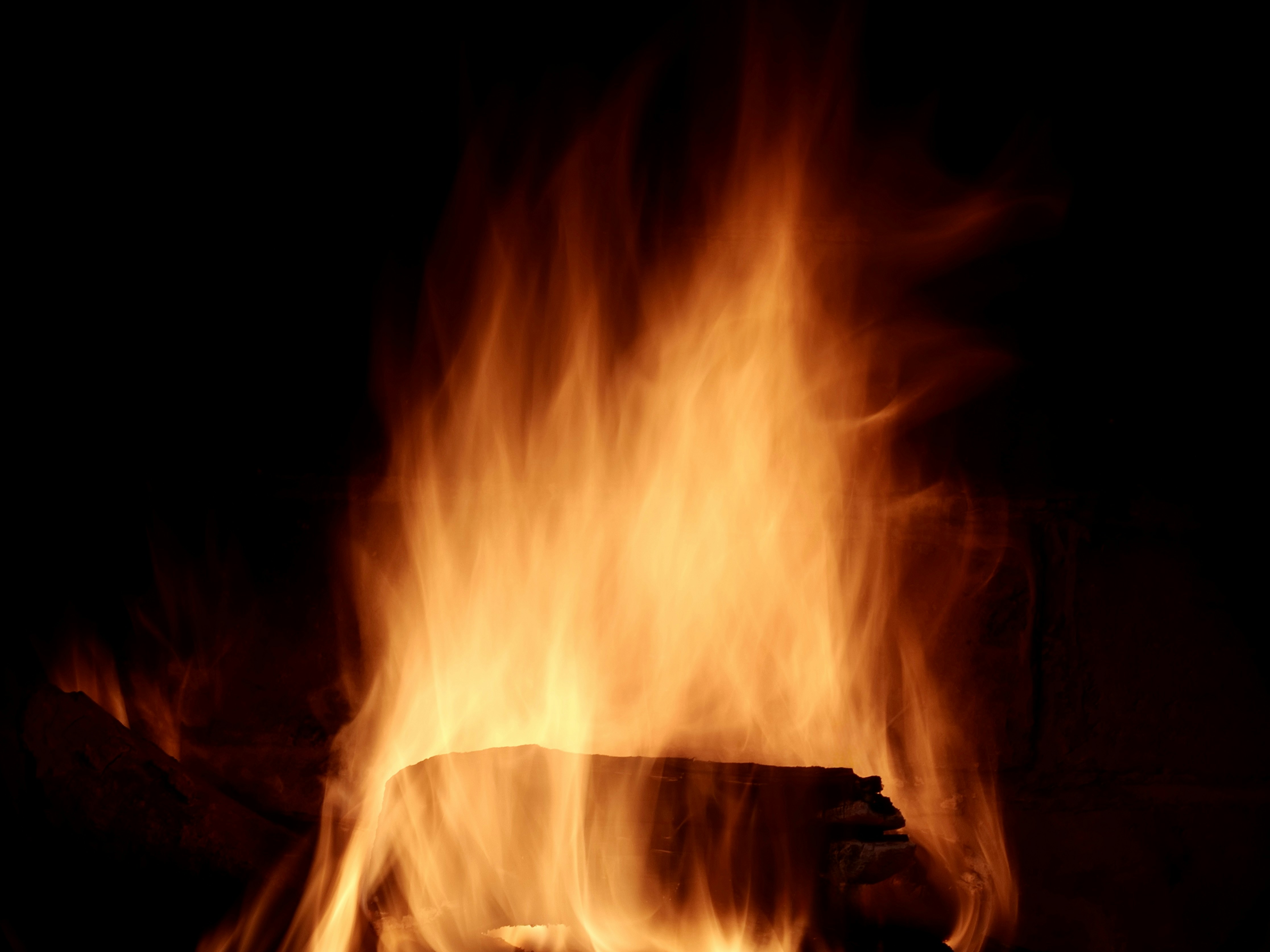 Photo by sschusterphotoart