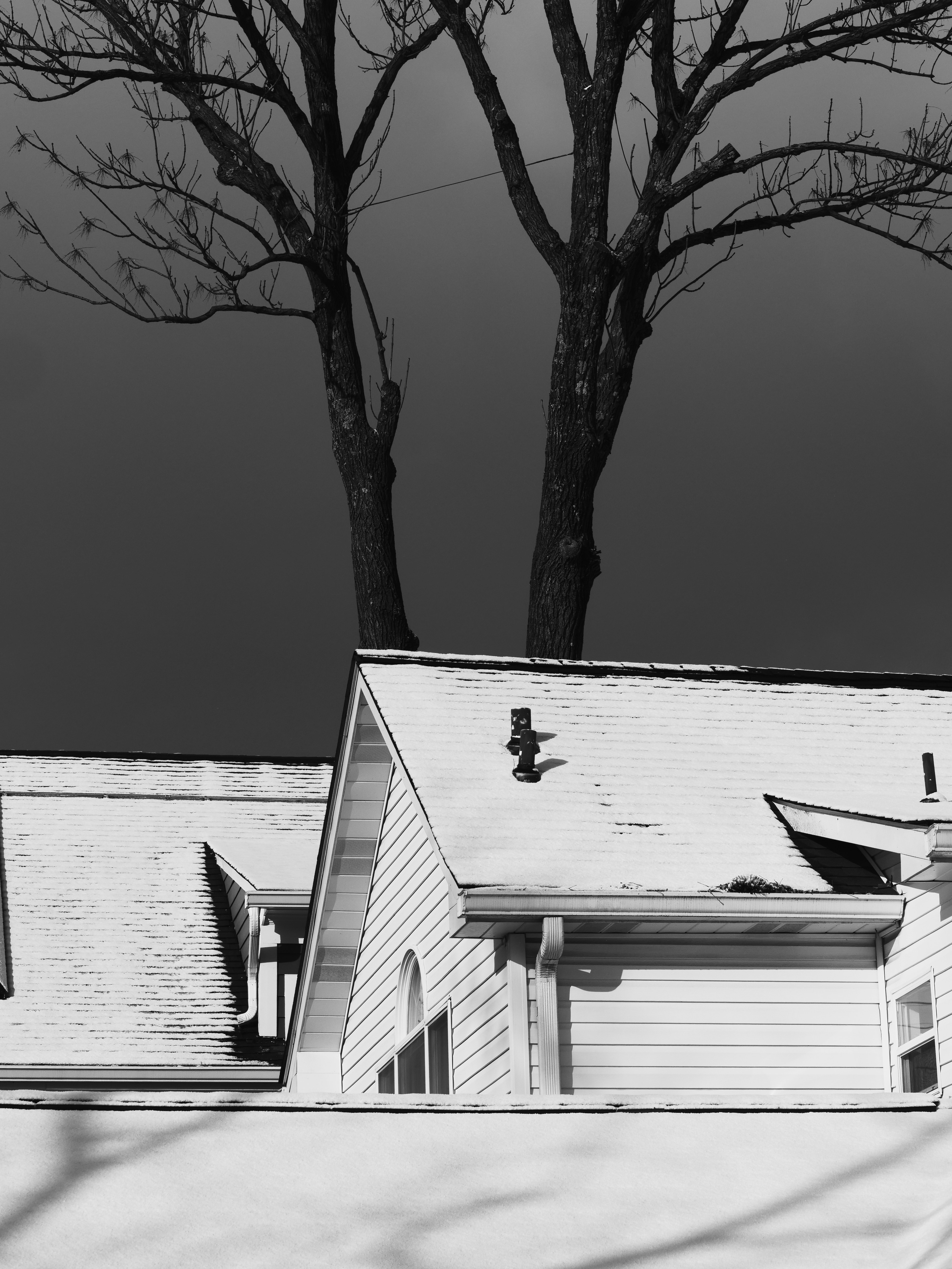 Photo by sschusterphotoart