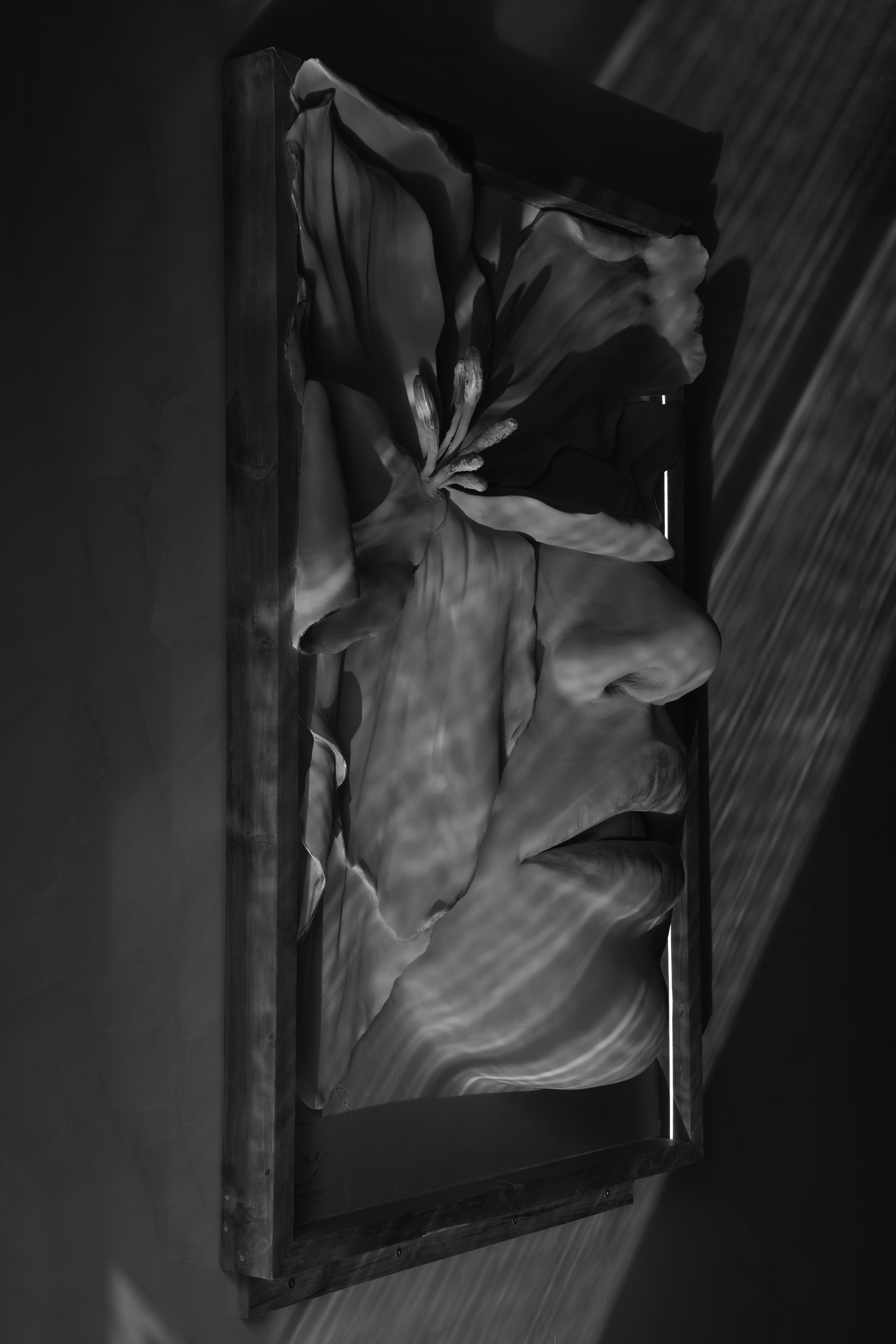 Photo by hivapharmedhana