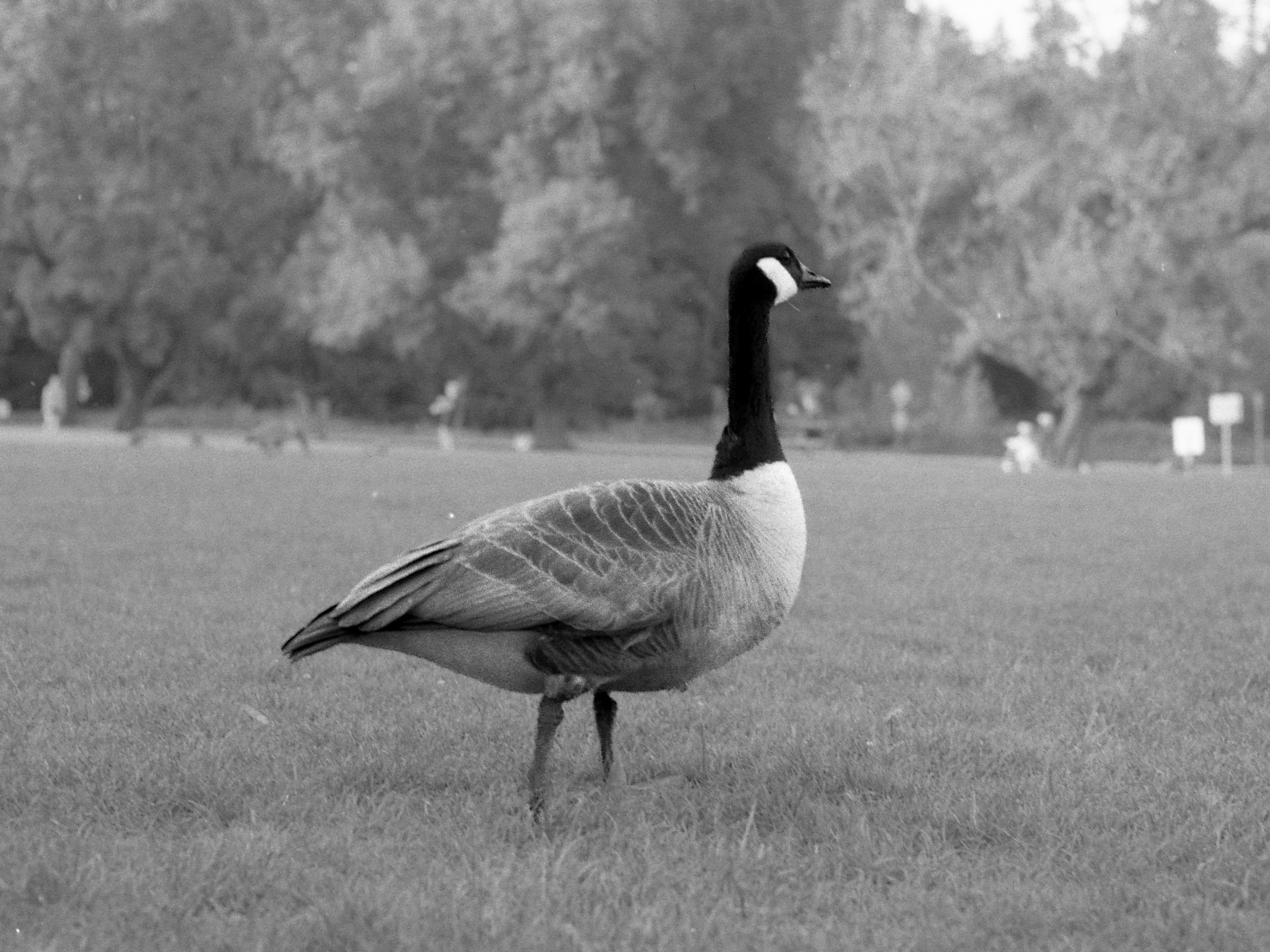 Photo by farnaz________