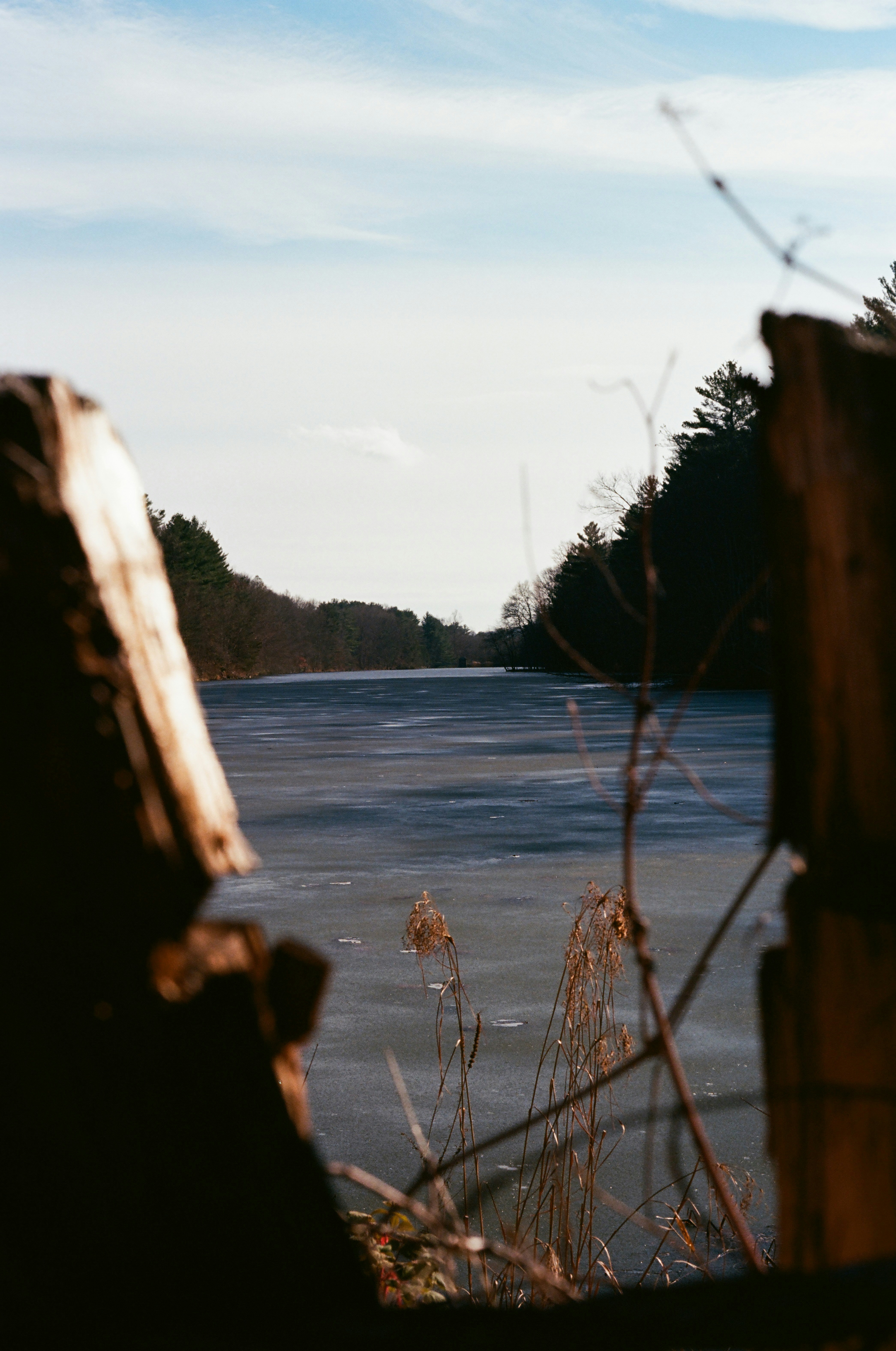 Partially frozen lake surrounded by trees under sky