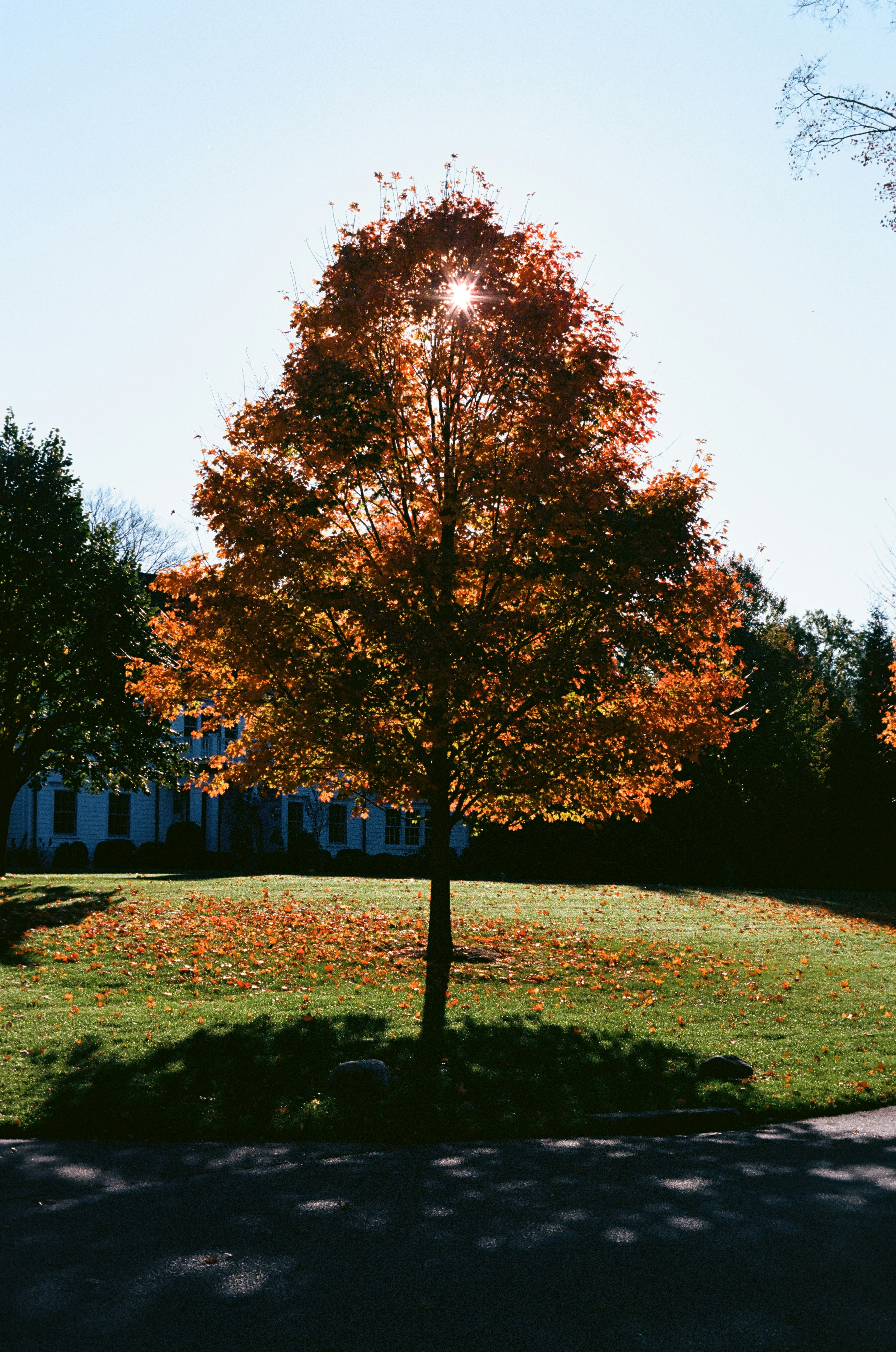 Photo by theolaflamme