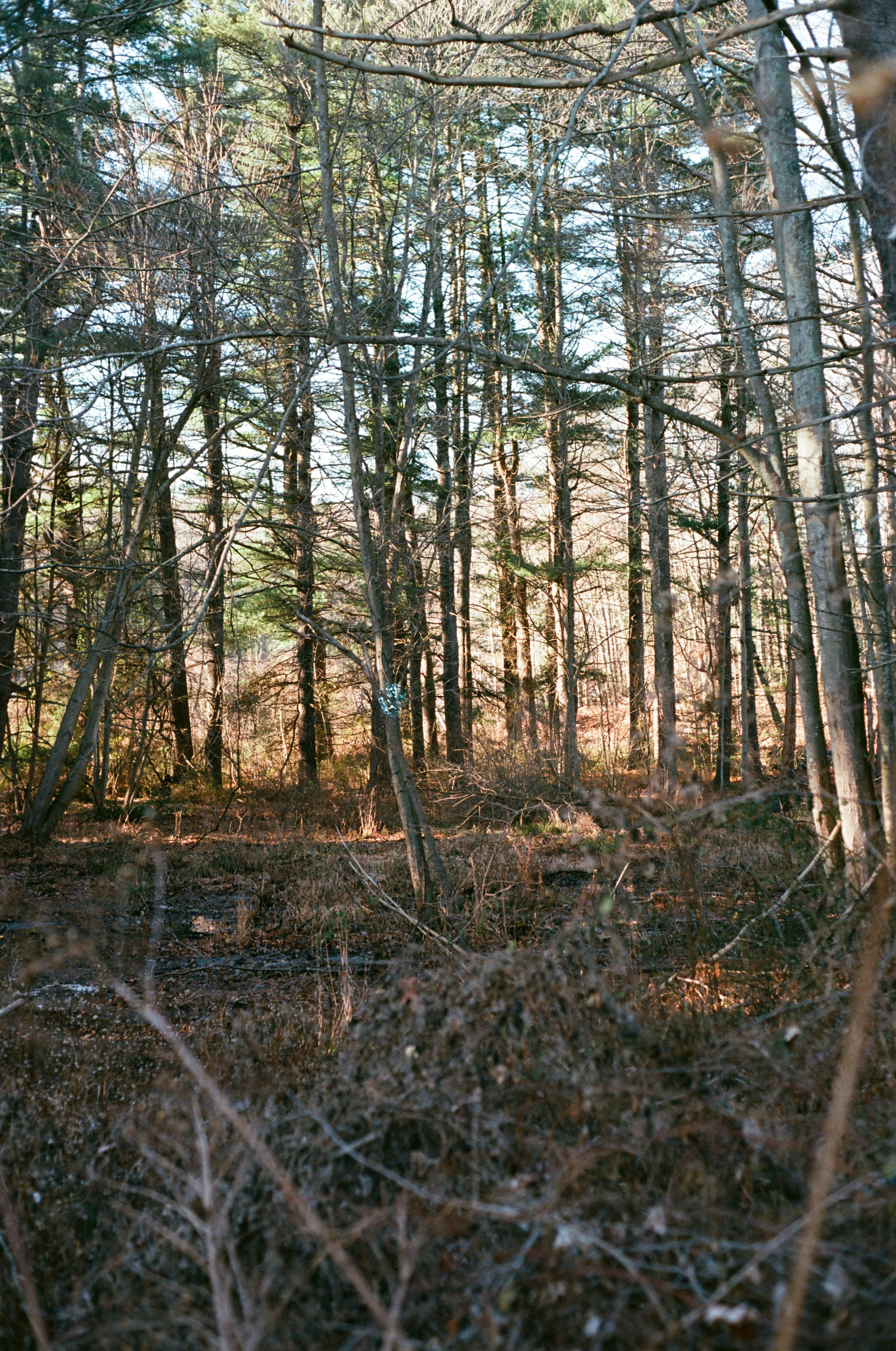 Photo by theolaflamme