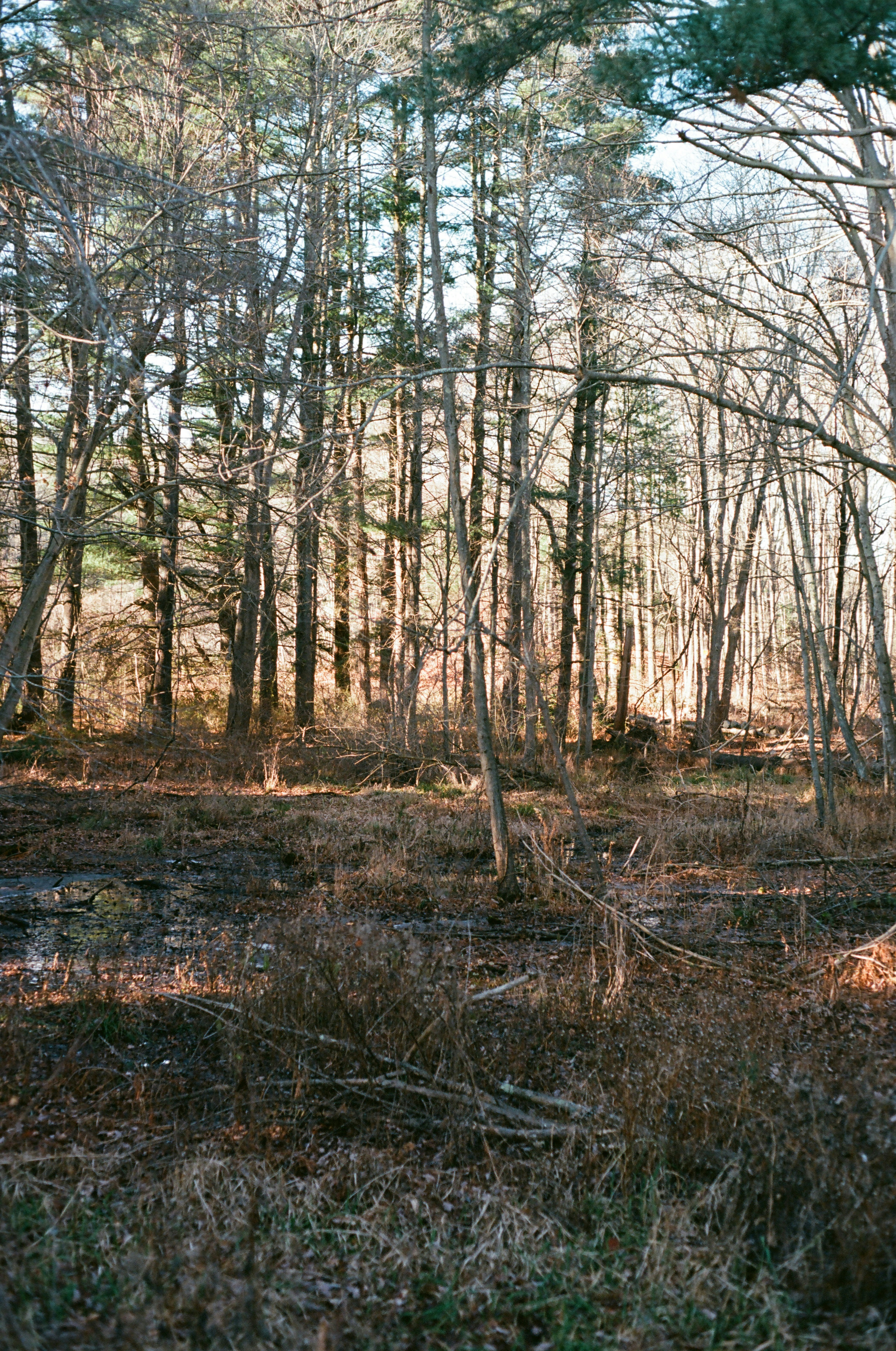 Photo by theolaflamme