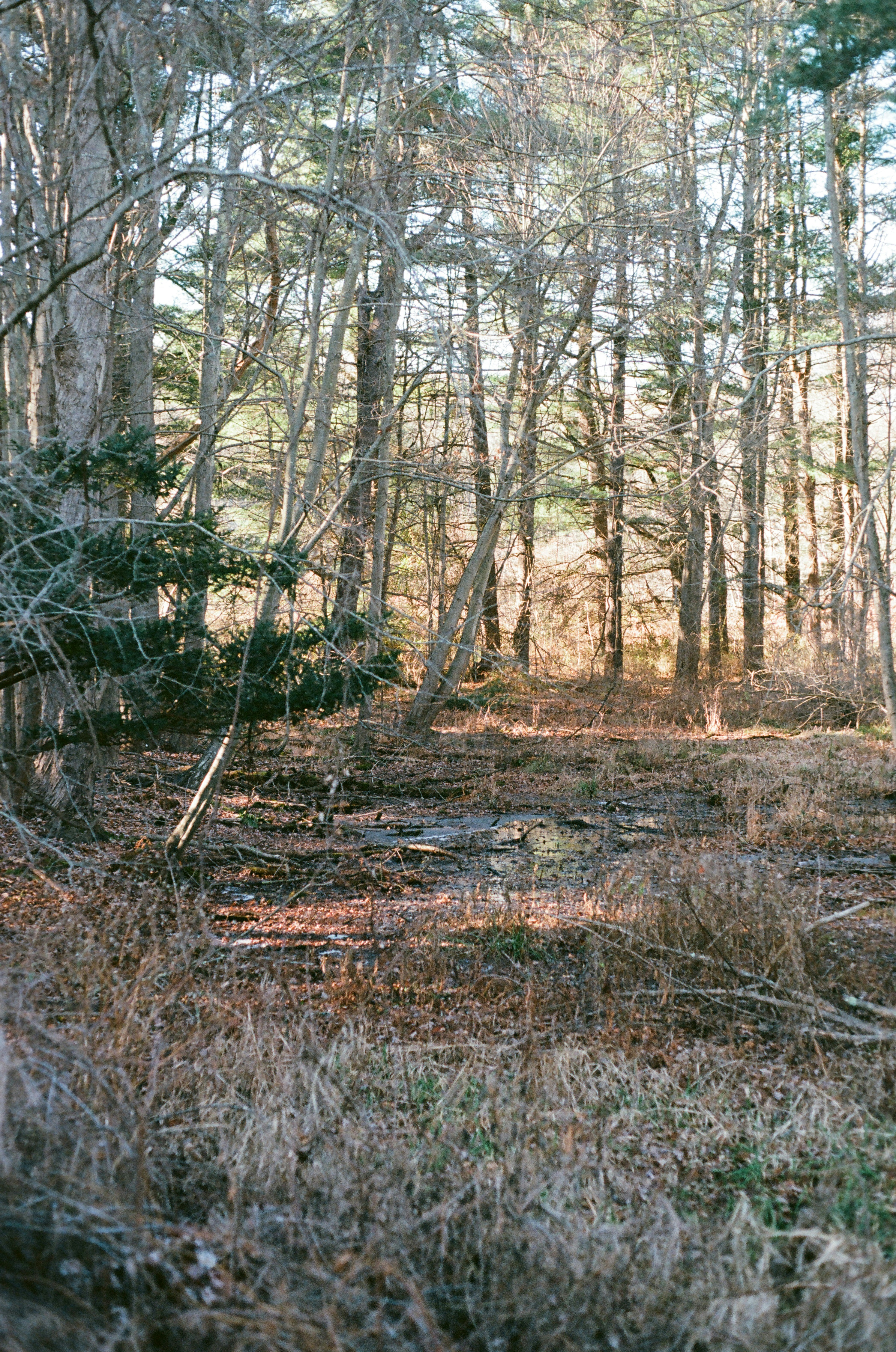 Photo by theolaflamme