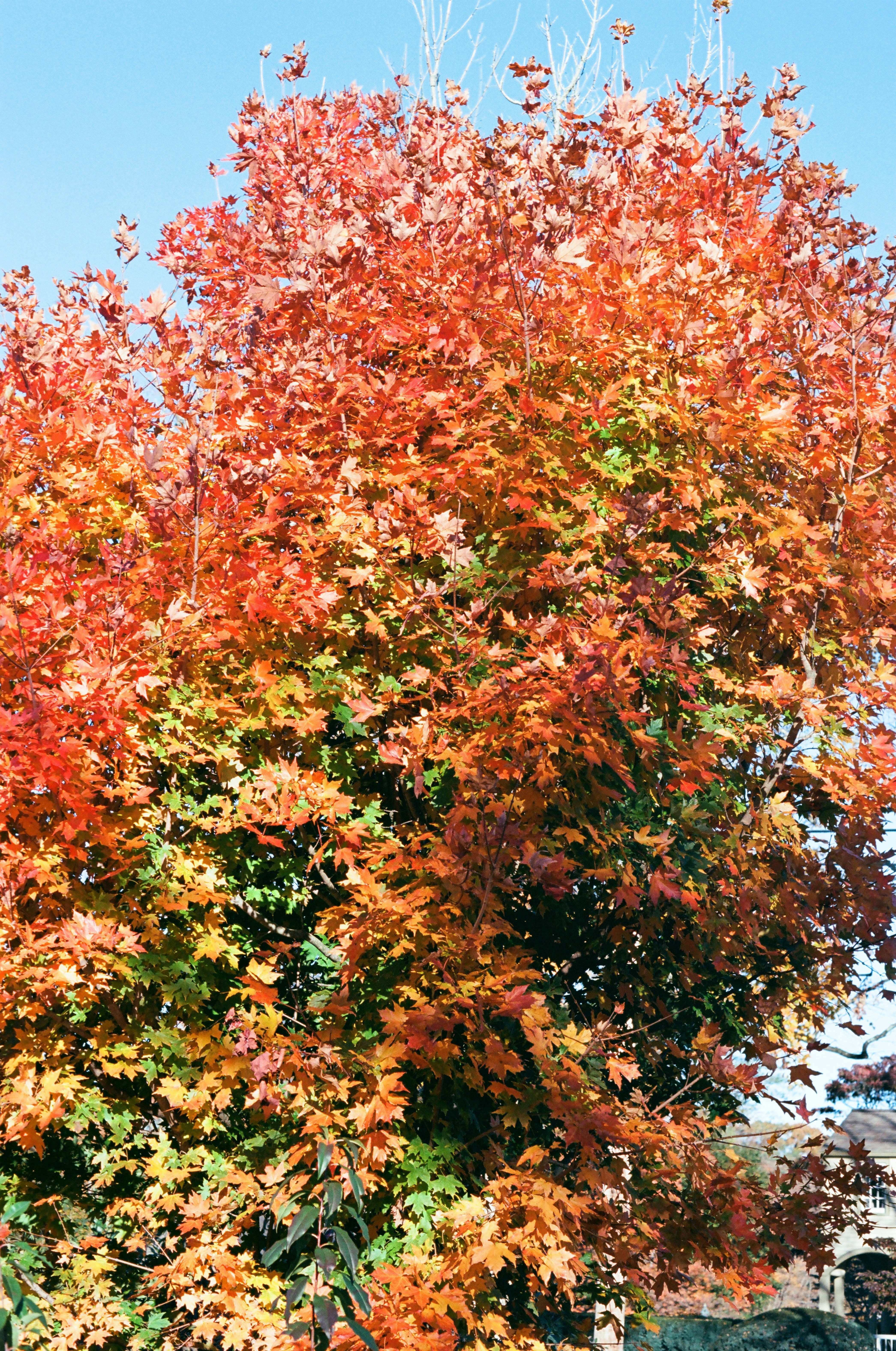 Photo by theolaflamme