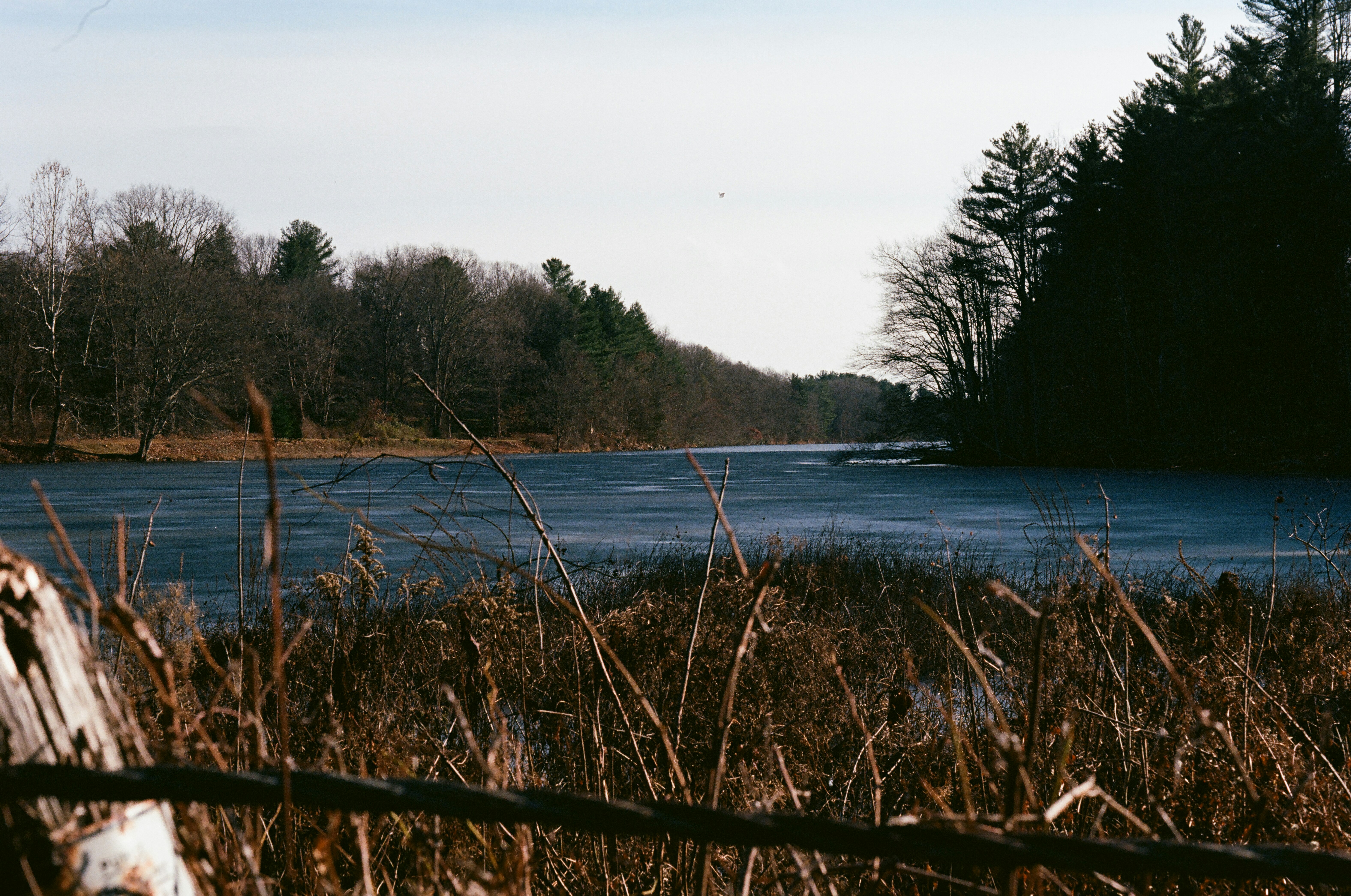 Photo by theolaflamme