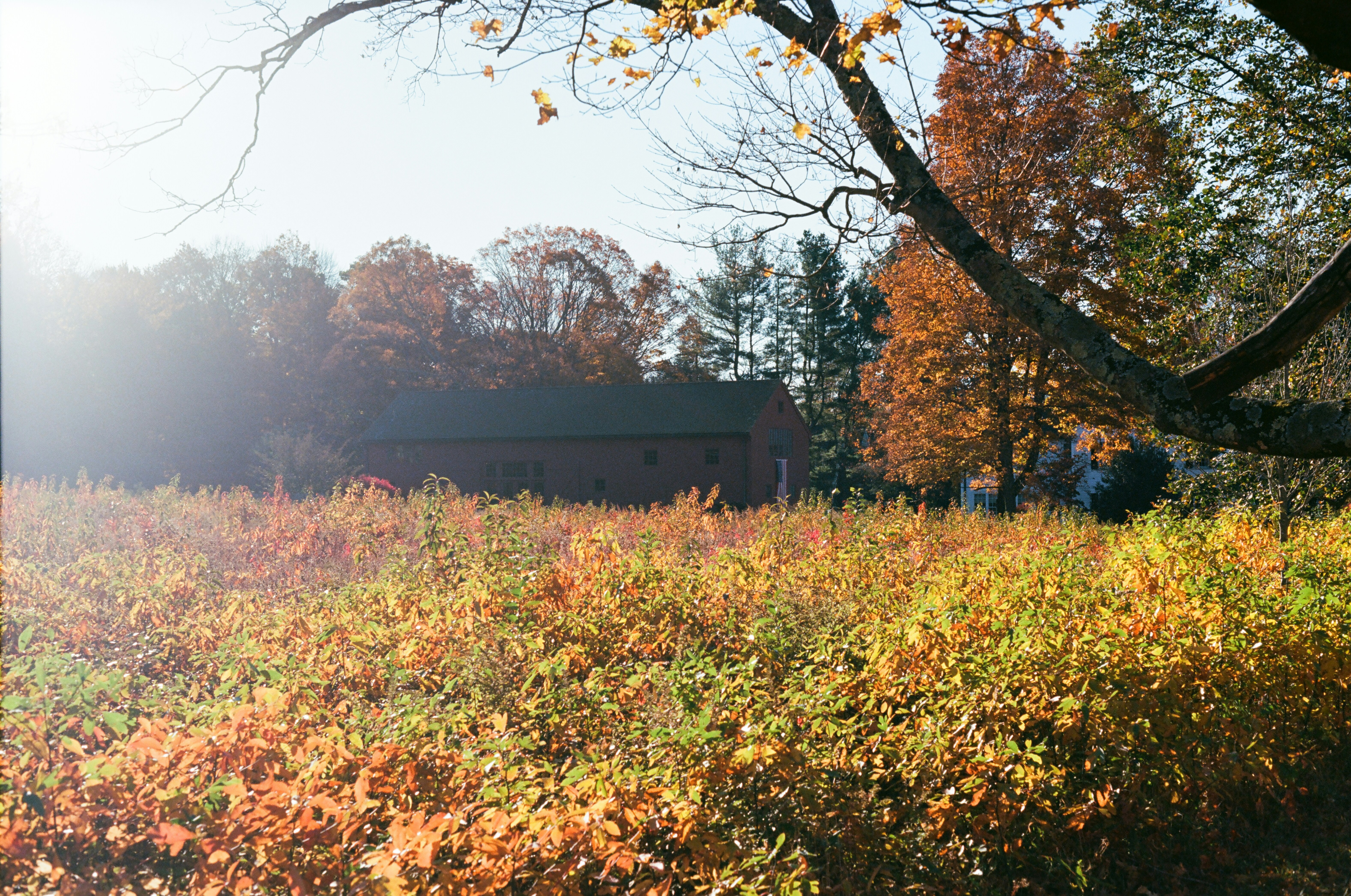 Photo by theolaflamme