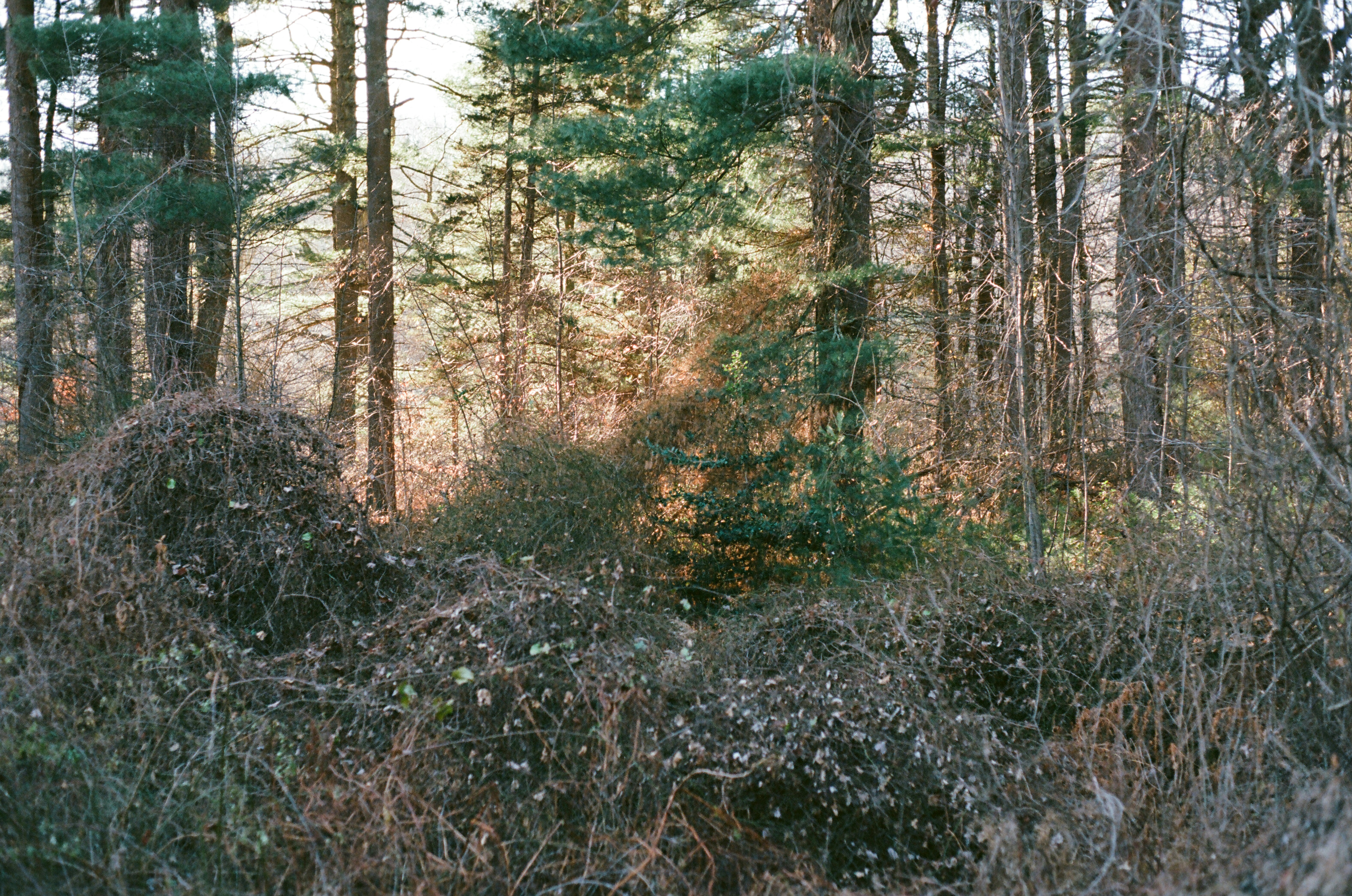 Photo by theolaflamme