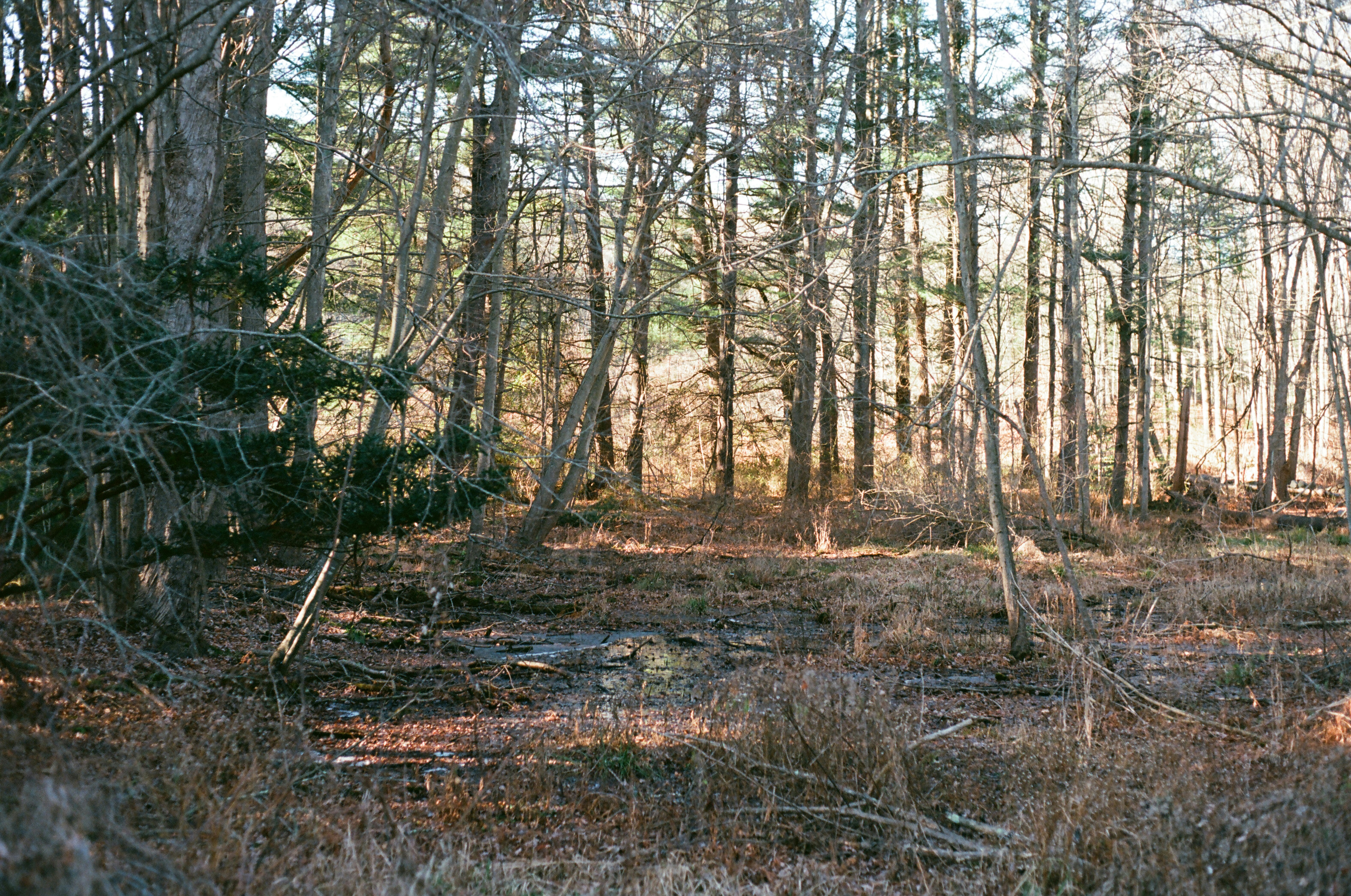 Photo by theolaflamme