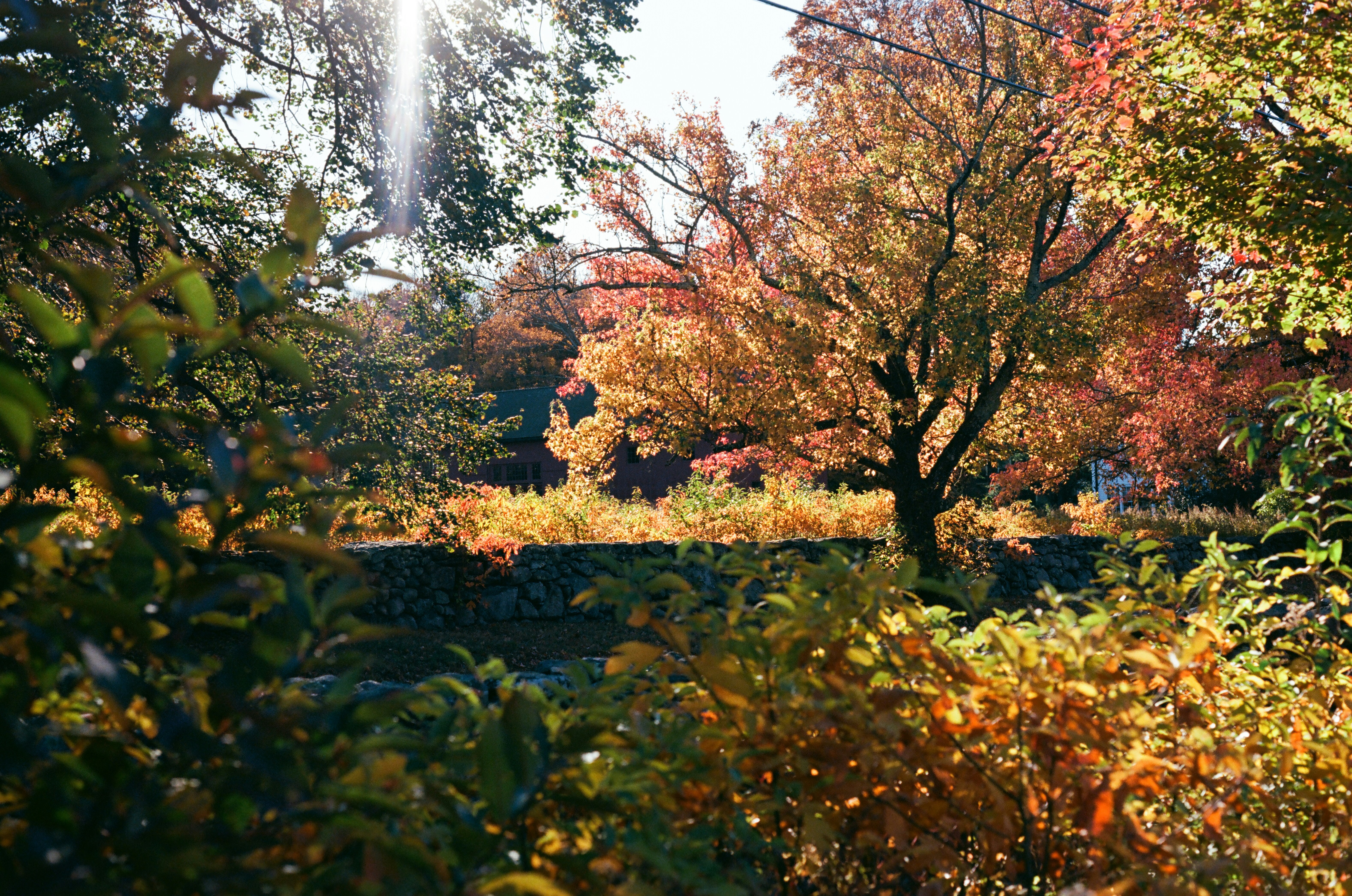 Photo by theolaflamme