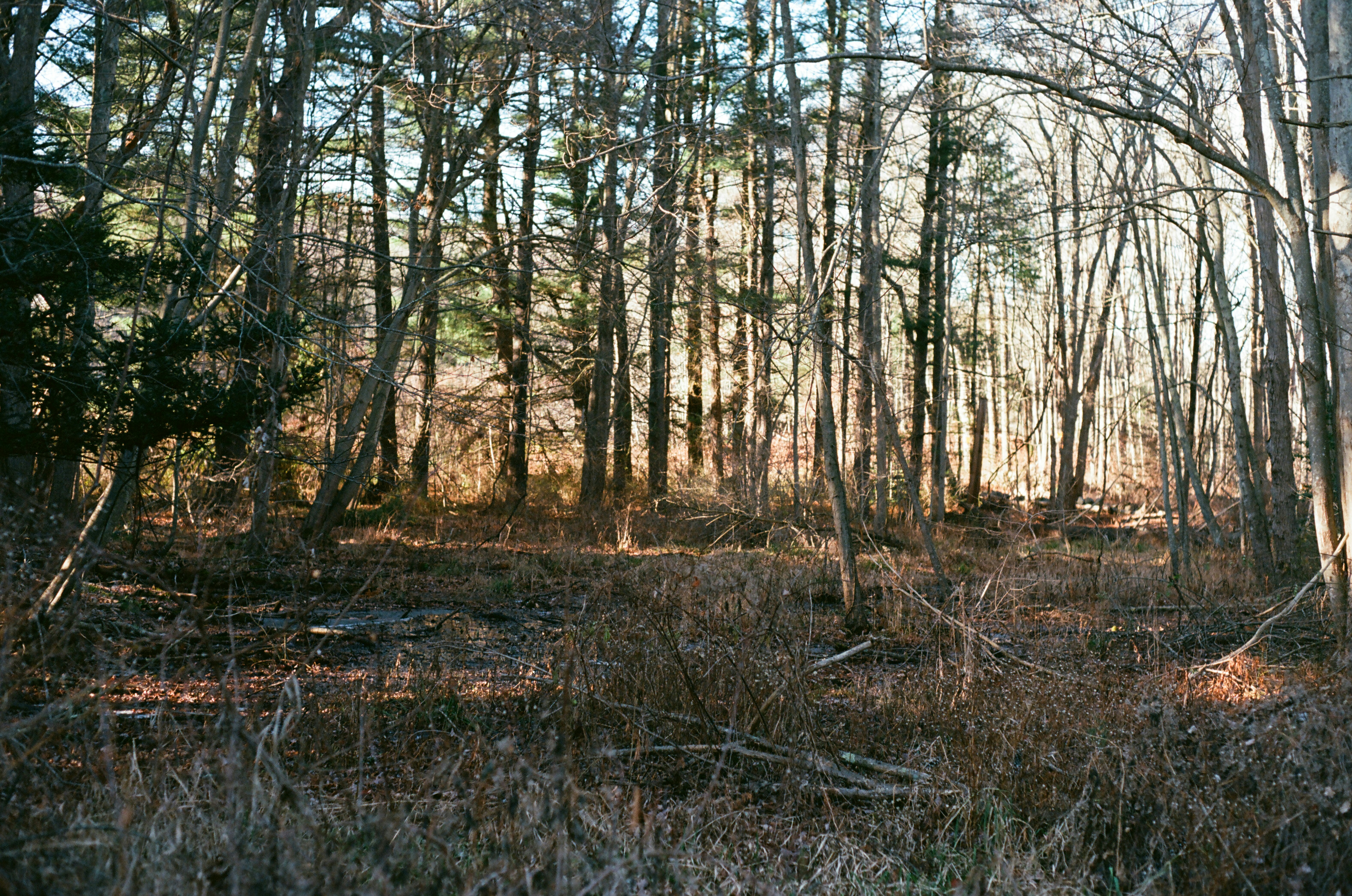 Photo by theolaflamme