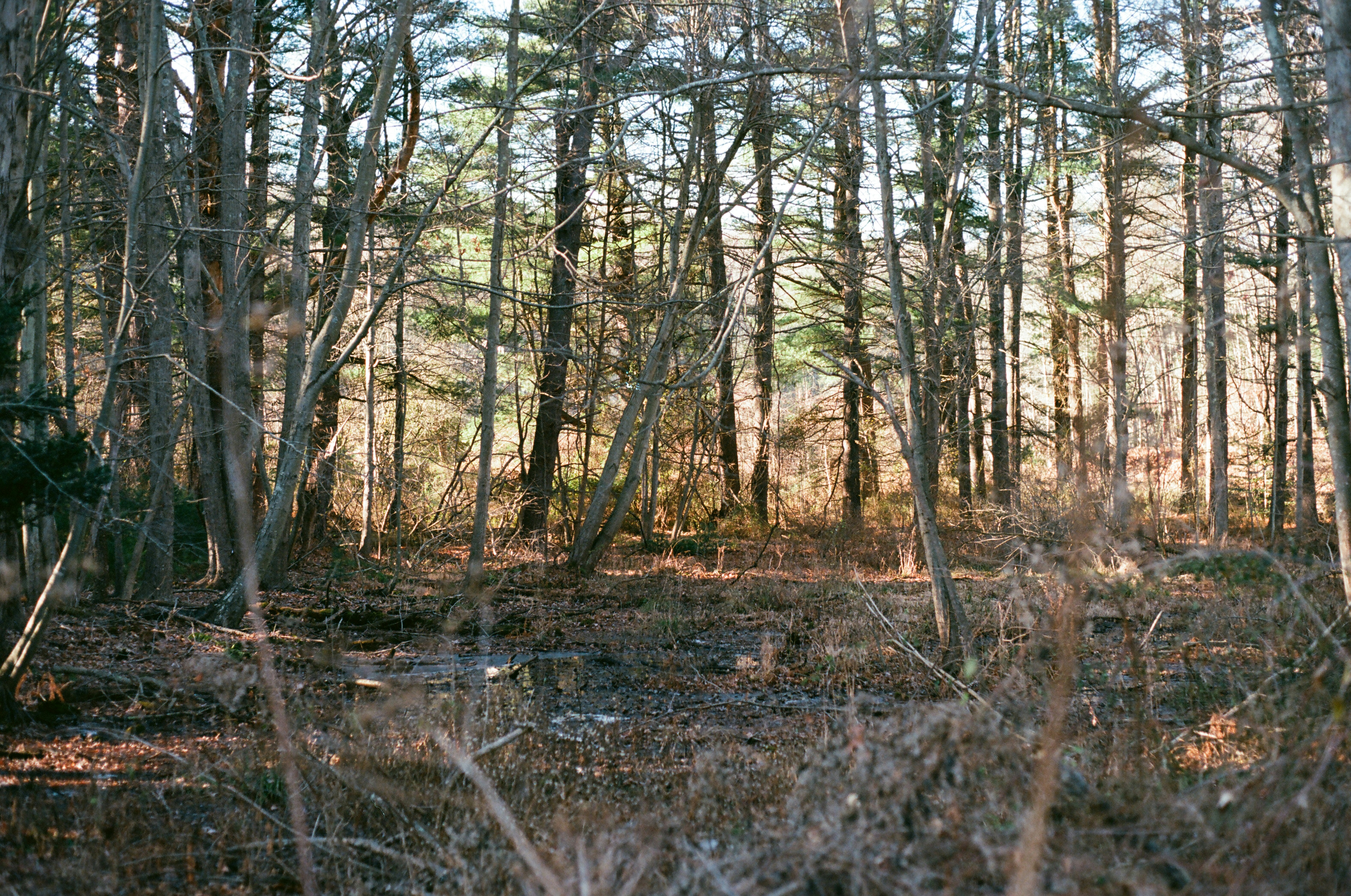 Photo by theolaflamme