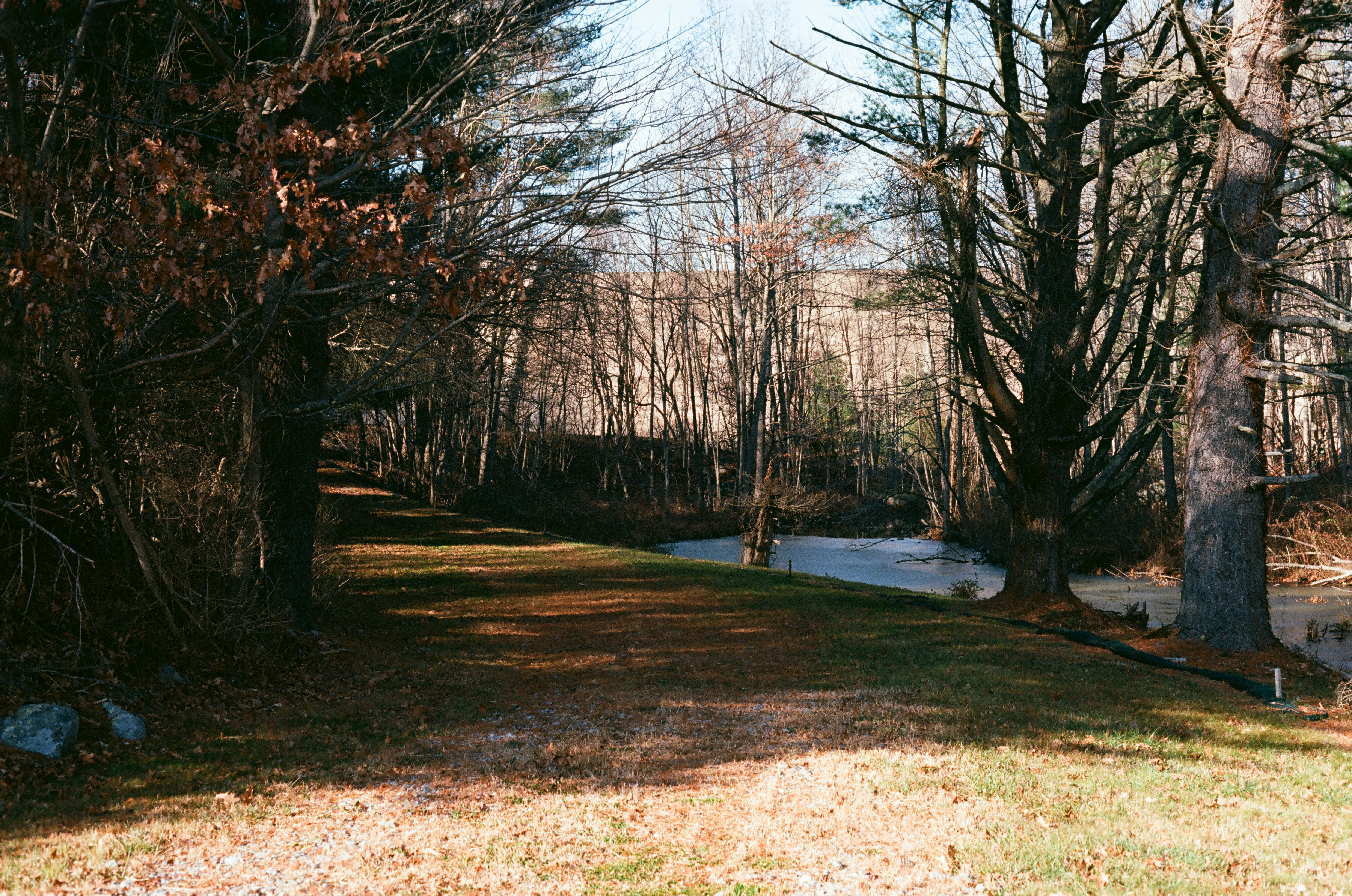 Pine Brook Park