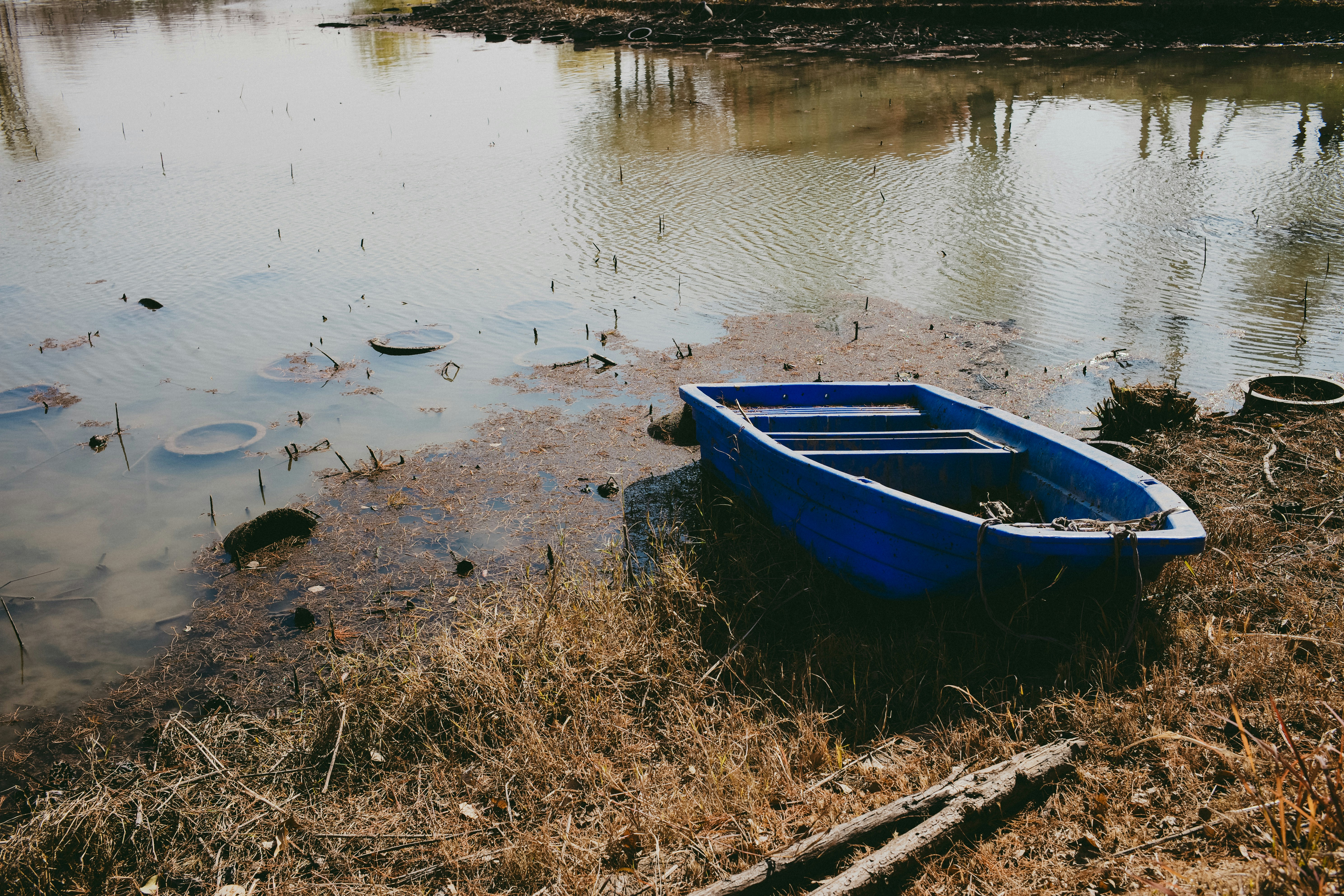 A blue boat rests on the grassy shore.