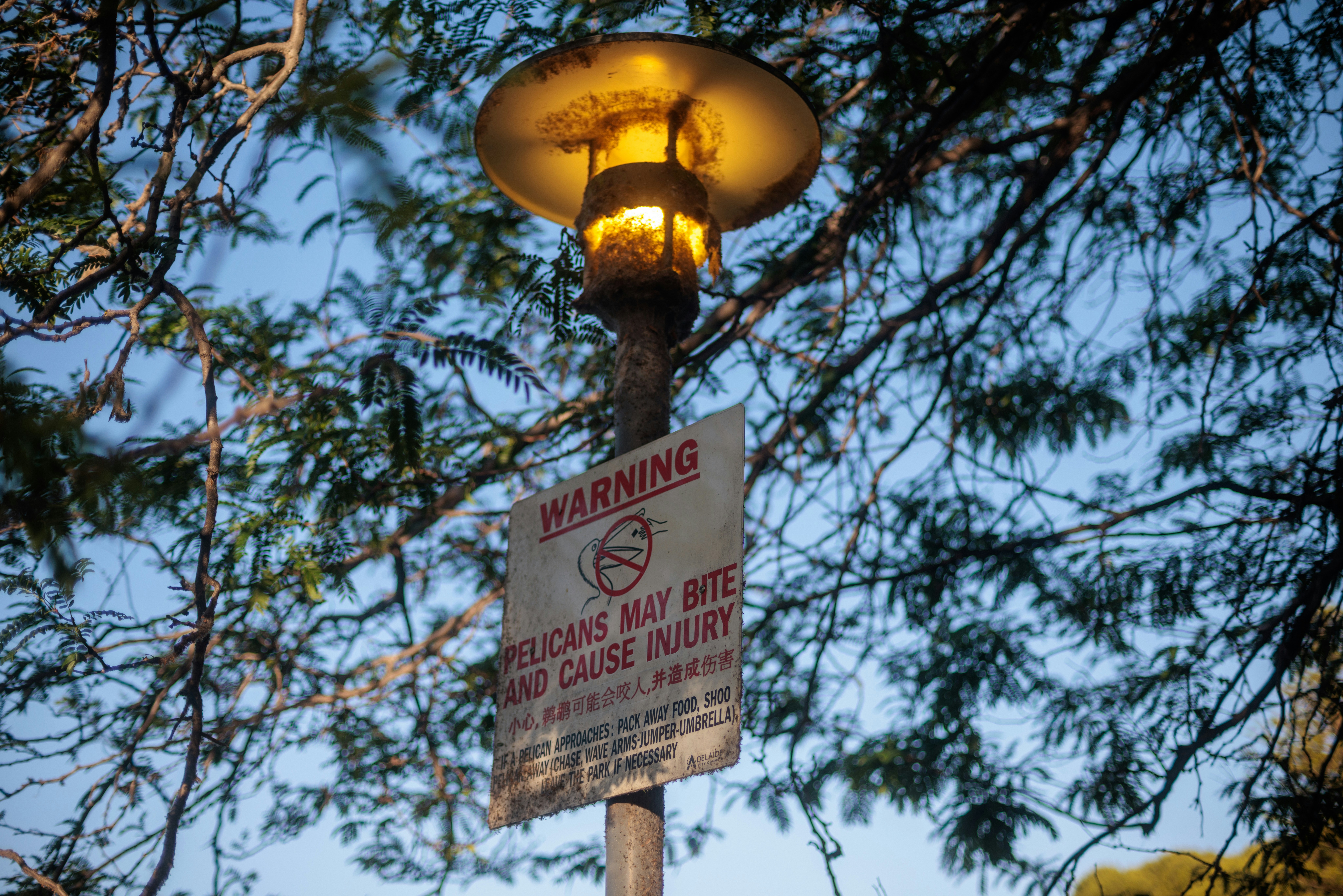 Poste de luz com uma placa de aviso sobre morcegos.