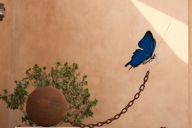 A blue butterfly flies near a rusty chain.